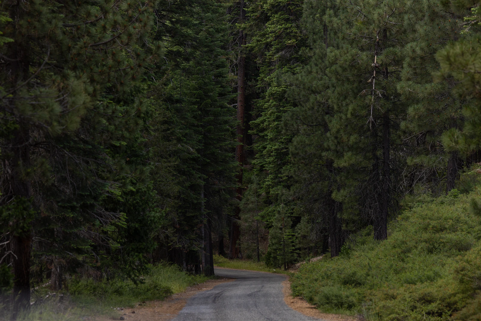 Grass Valley vs. Auburn: Which Sierra Foothills Market Fits You