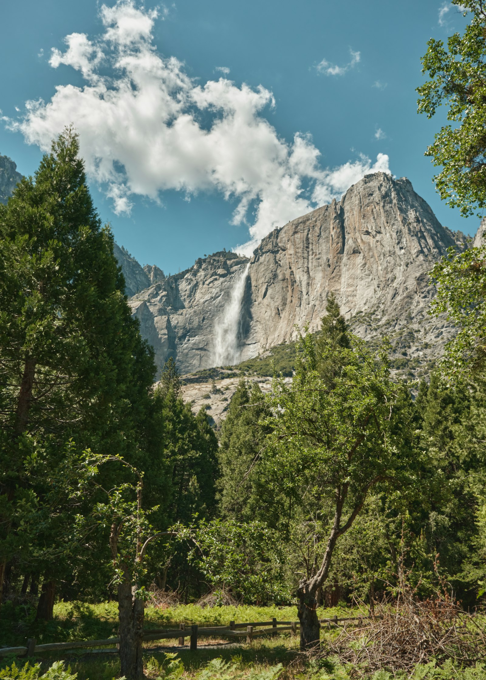 Yosemite Falls