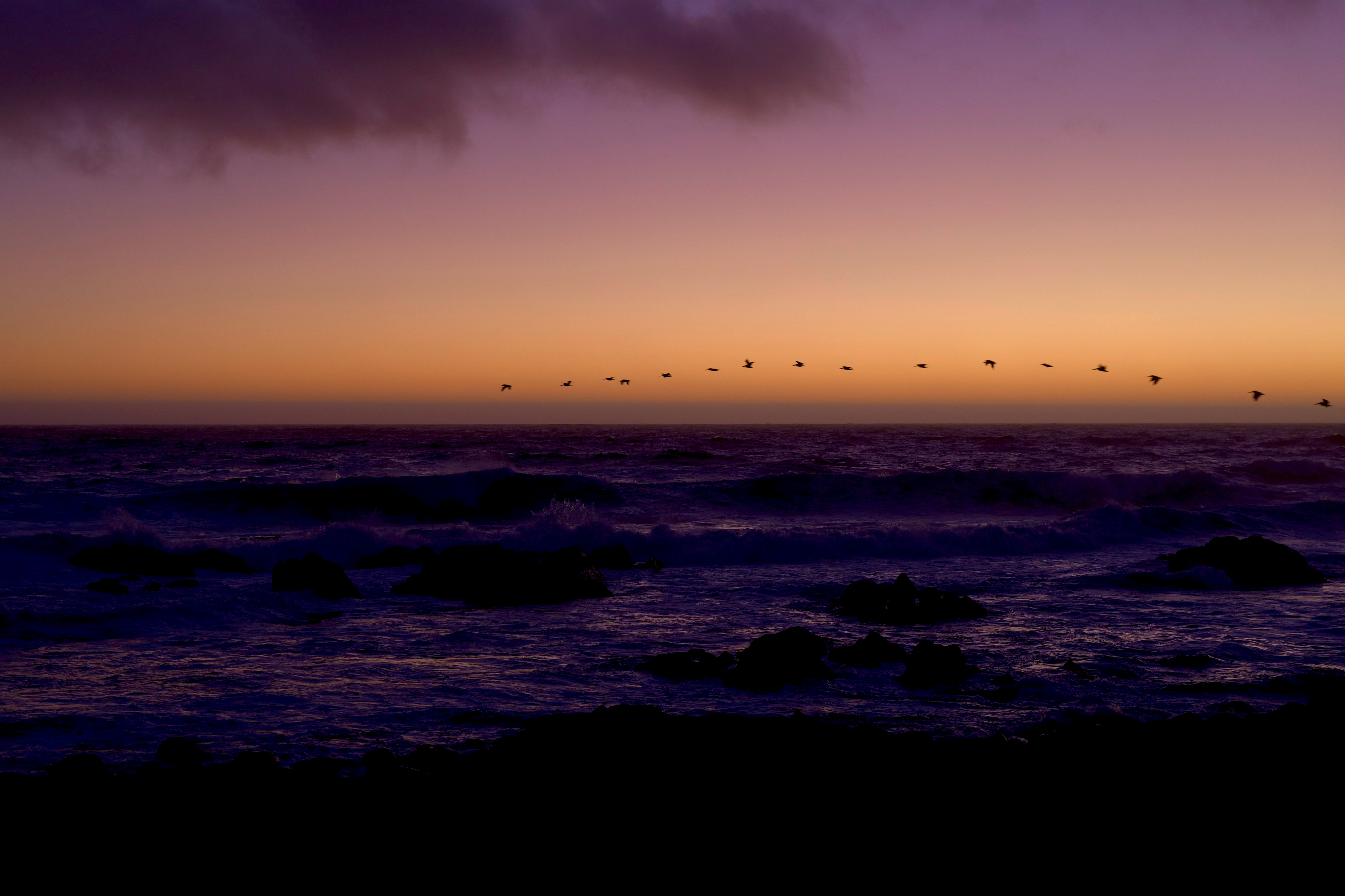 Birds flying over a purple and orange ocean sunset