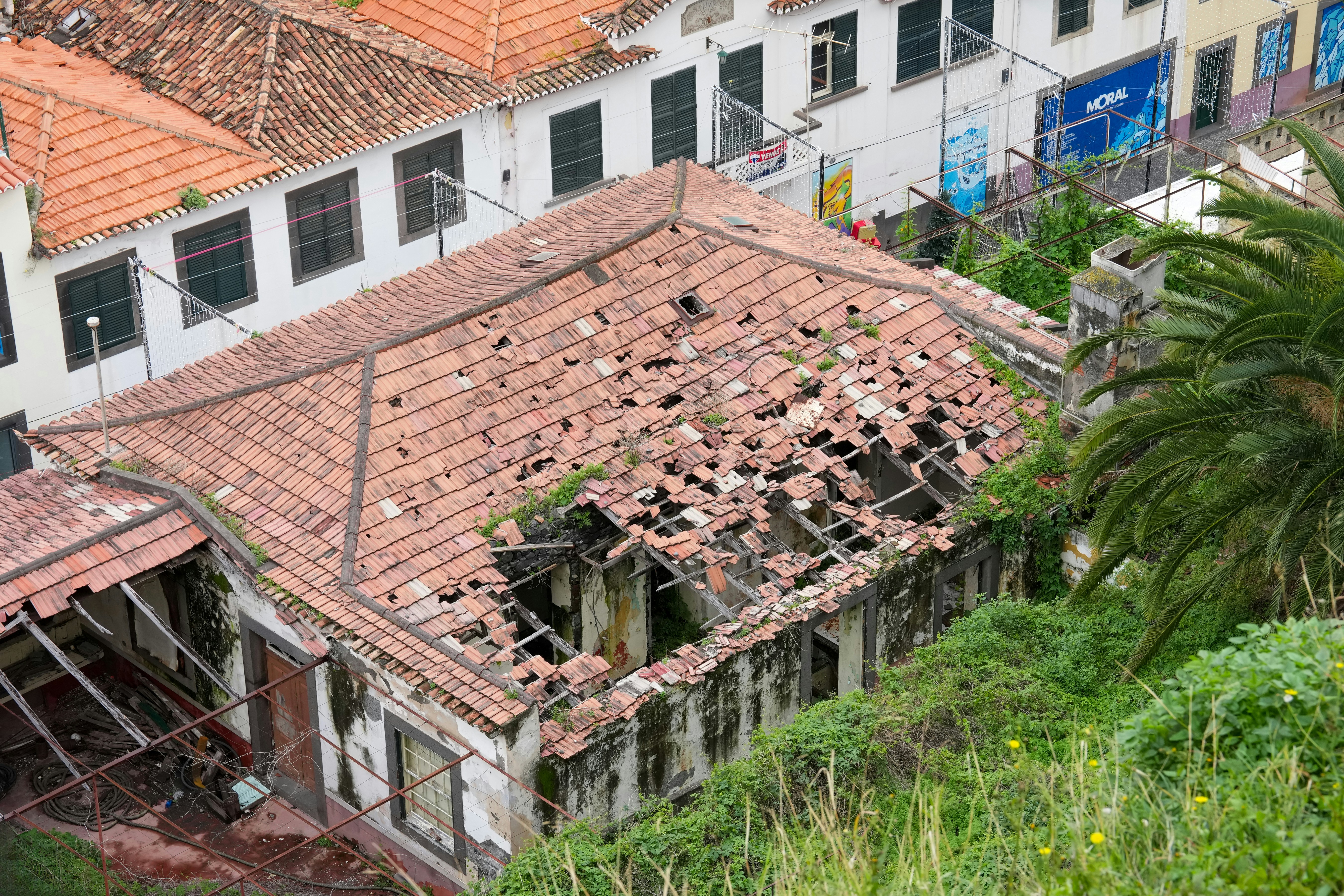 Overgrown abandoned building with a collapsed red tile roof.