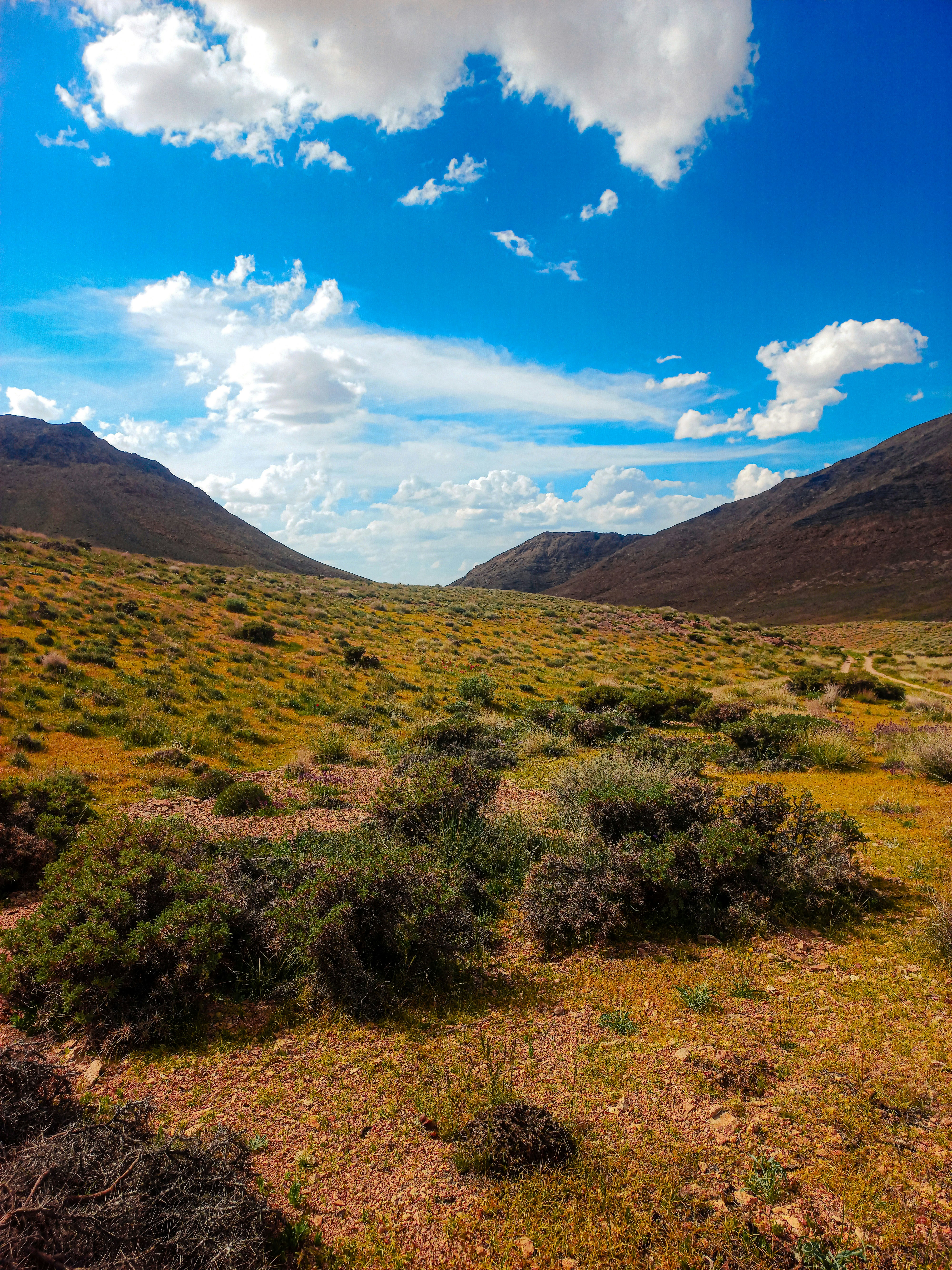 Paisaje árido de valle con montañas y un cielo azul