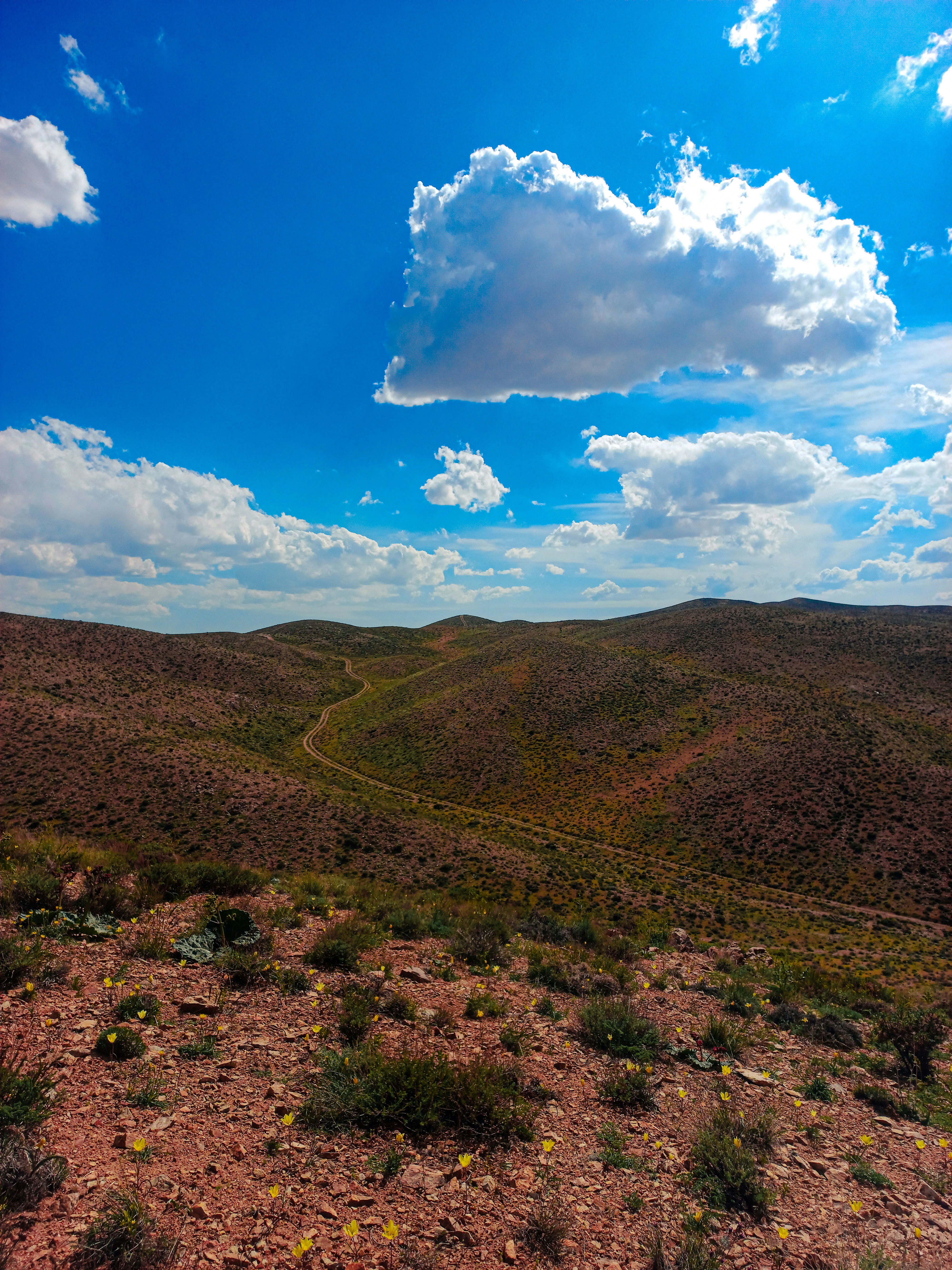 Carretera serpenteante entre colinas áridas bajo un cielo azul