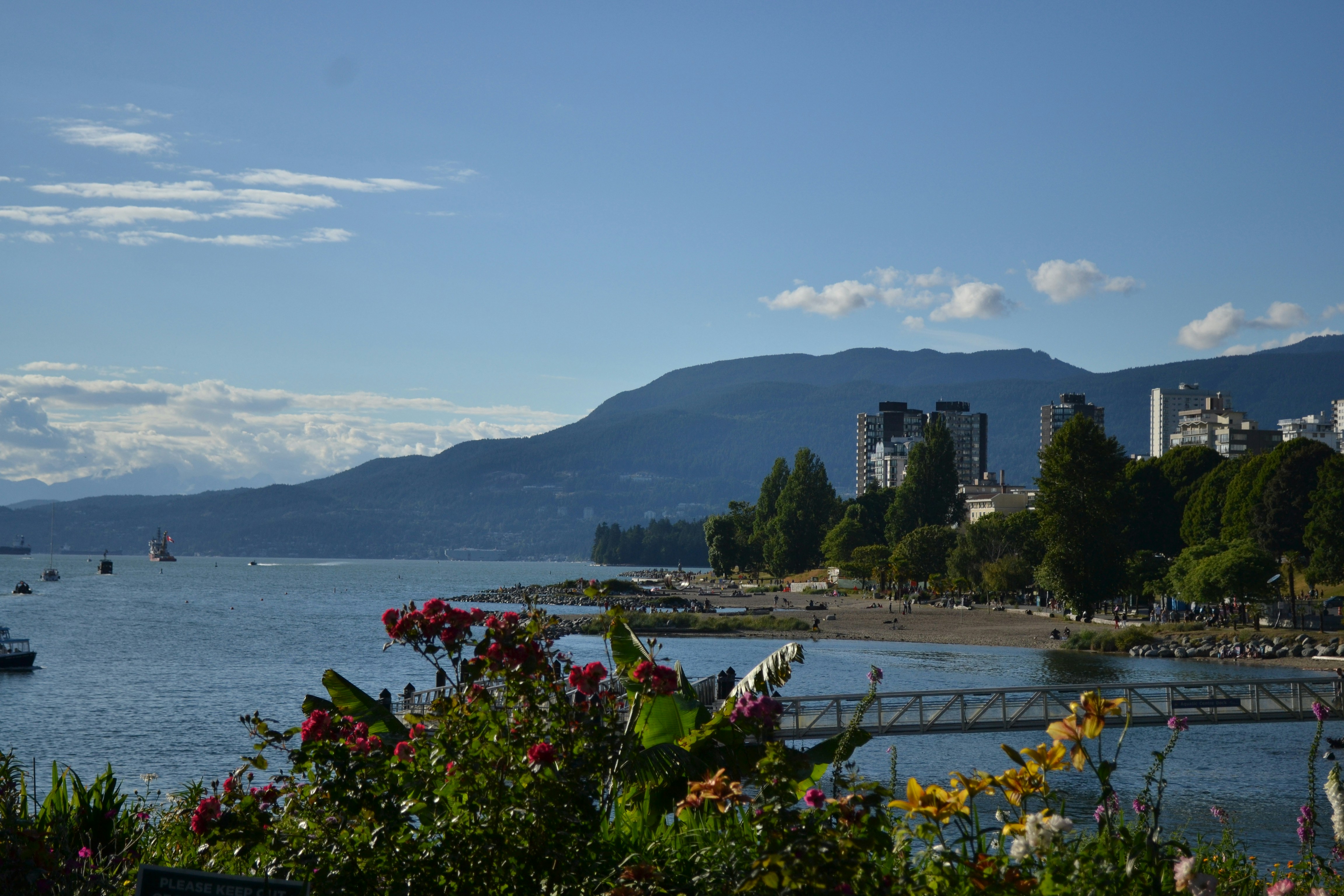 Coastal city view with mountains, ocean, and flowers.