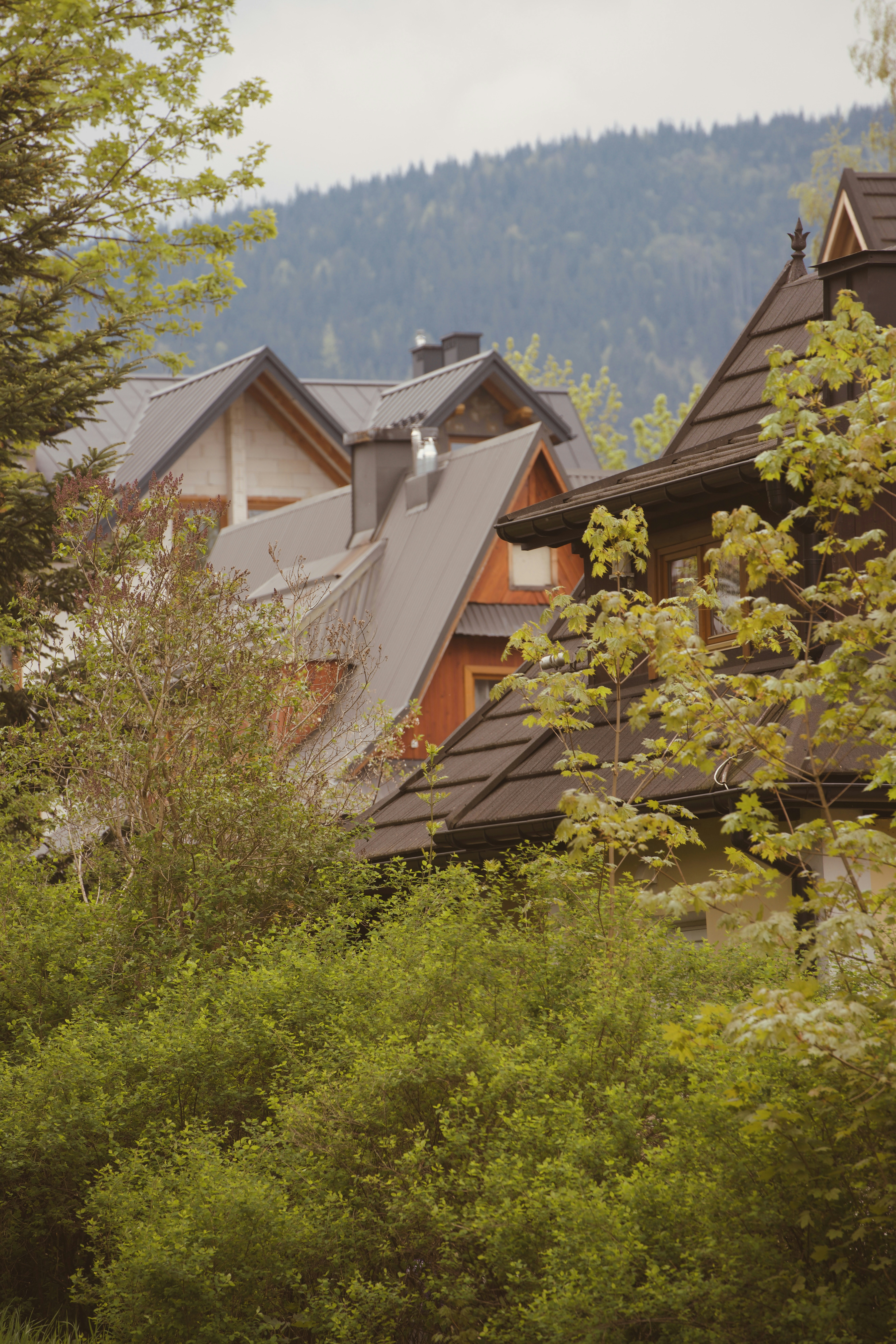 Casas de telhados escuros aninhadas entre árvores verdes e montanhas.
