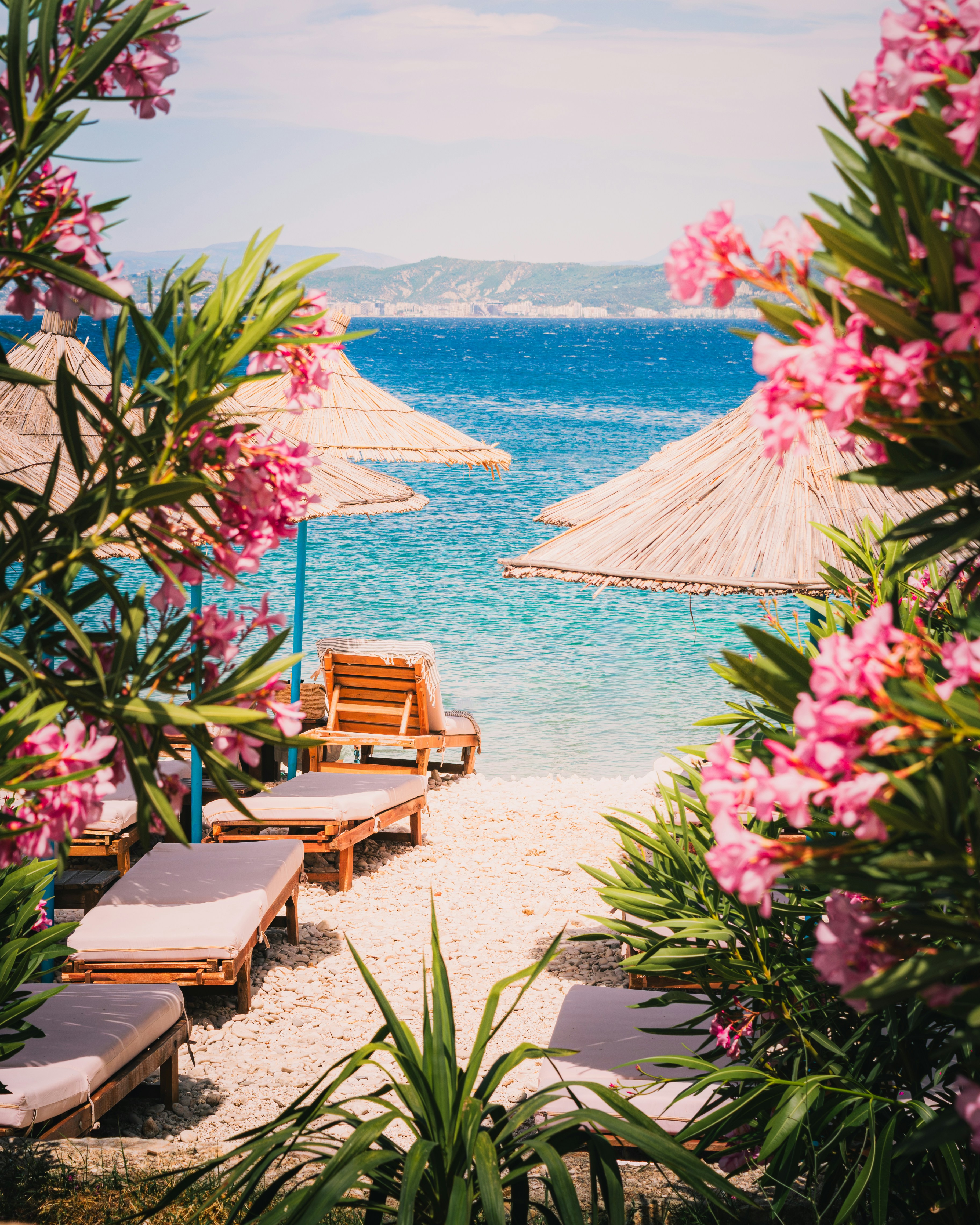 Sunny beach with blue ocean, umbrellas, chairs, and pink flowers.
