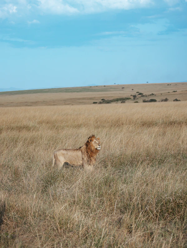 Latitude Zero Safaris — Instagram photo 3