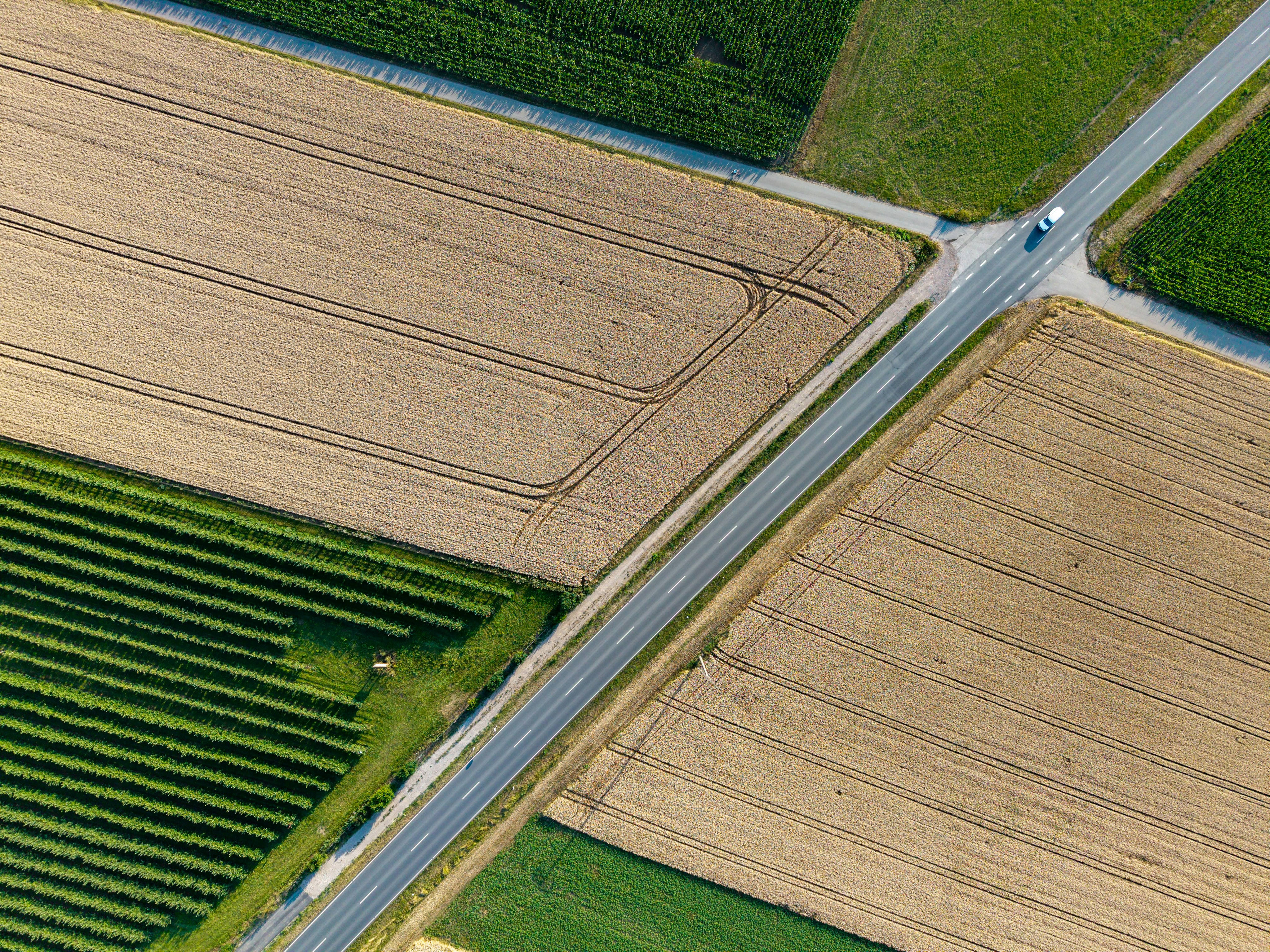 Overhead view of a road intersecting diverse agricultural fields