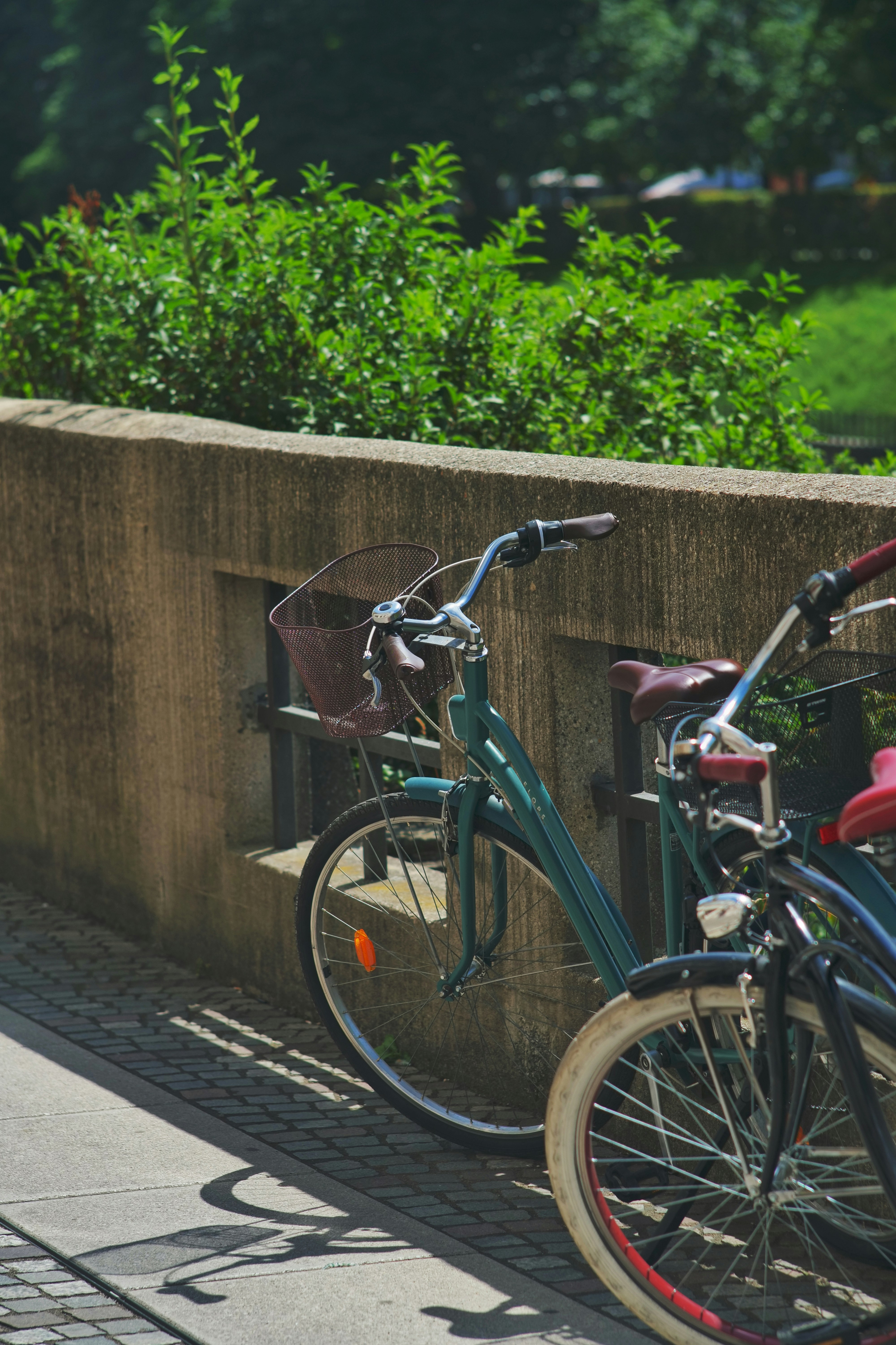 Bicycles parked by a wall with green plants in sunlight.