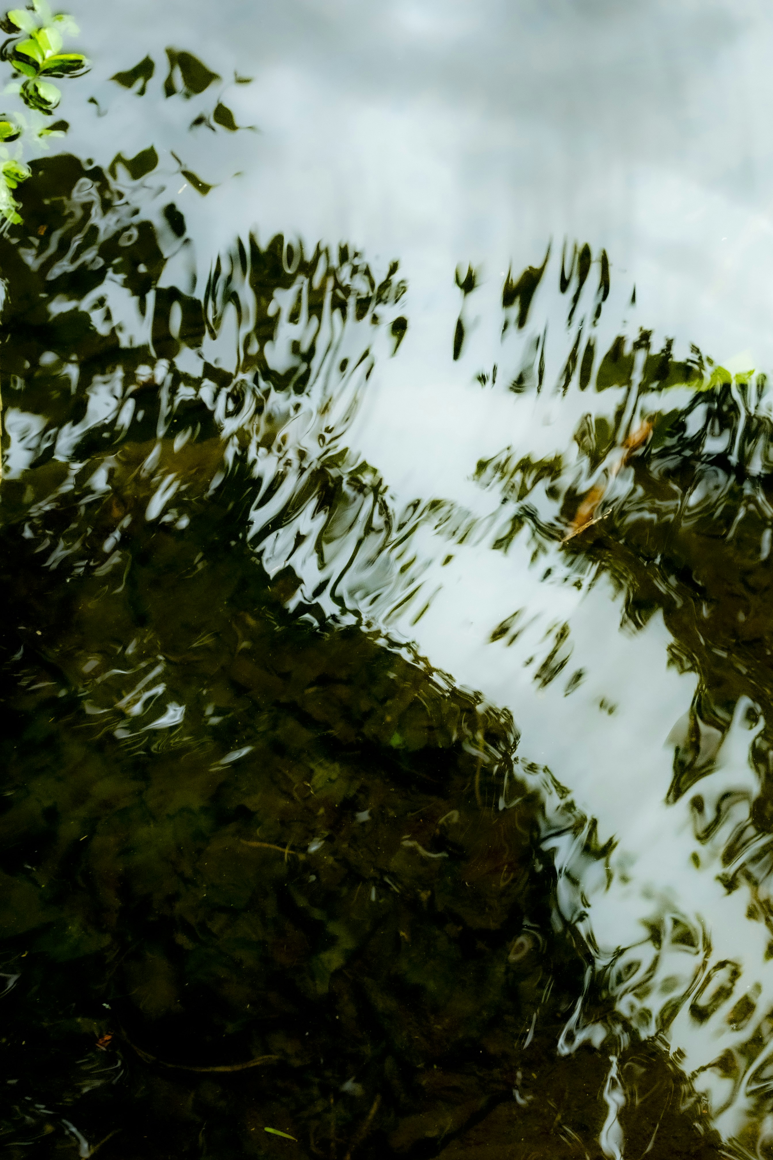 Rippling water surface creating abstract reflections.