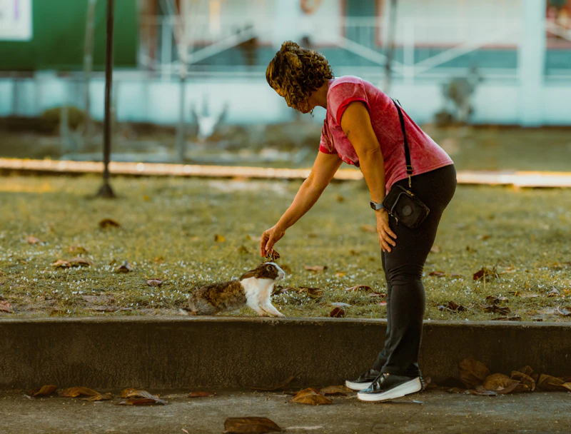Person picking up after a dog on a lawn