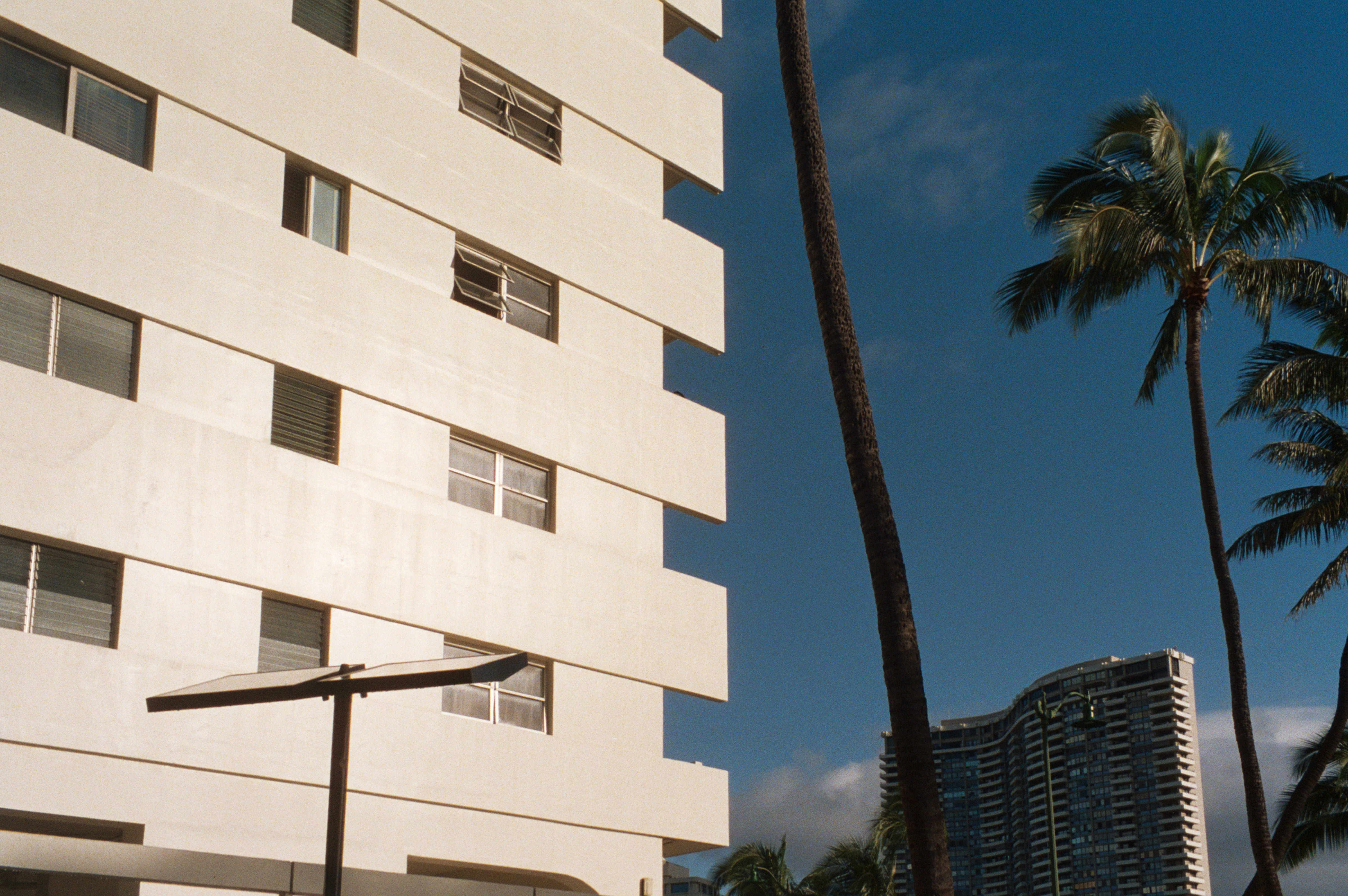 White building and palm trees against a blue sky.