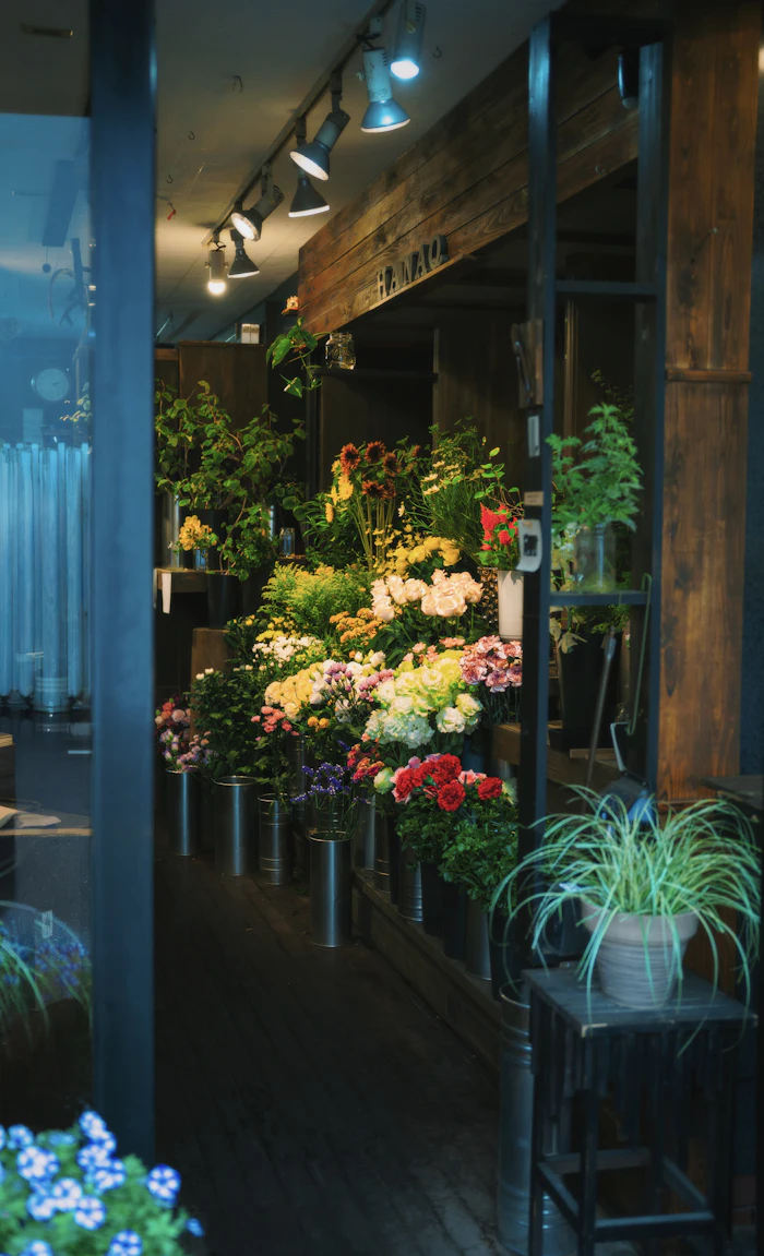Houseplants & pots