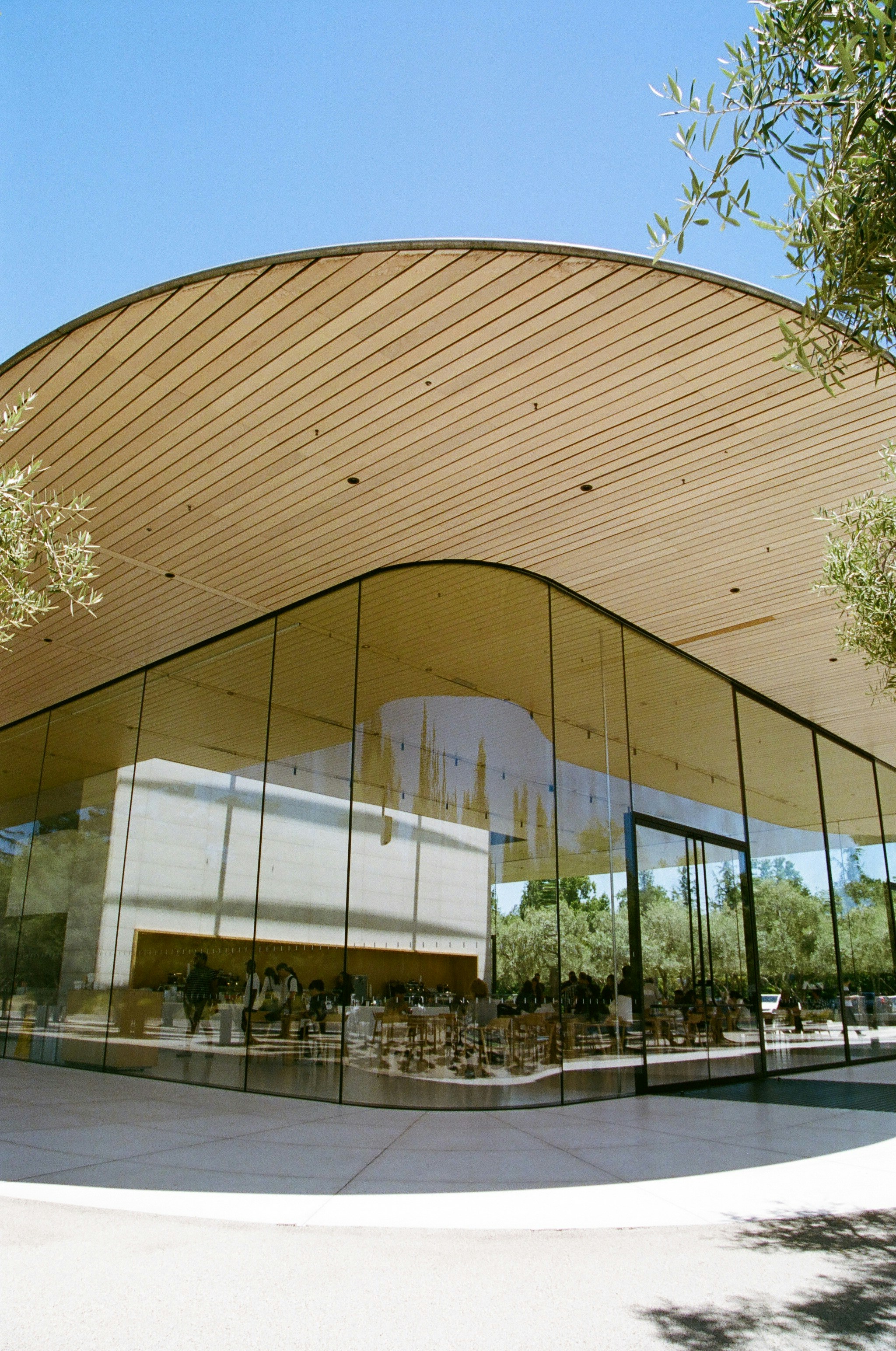 Modern building with curved wooden roof and glass walls.