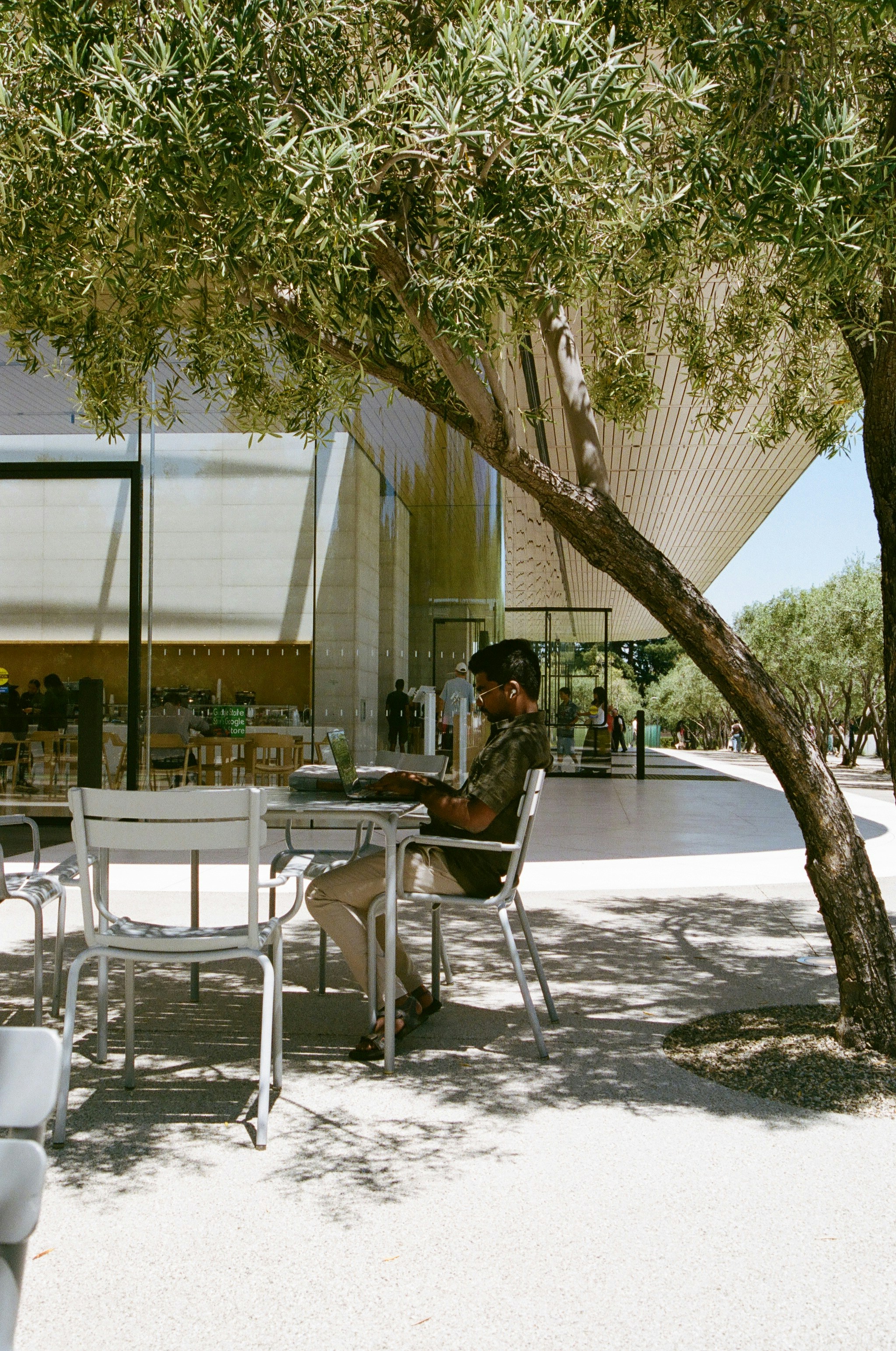 A person sits at an outdoor cafe under a tree.
