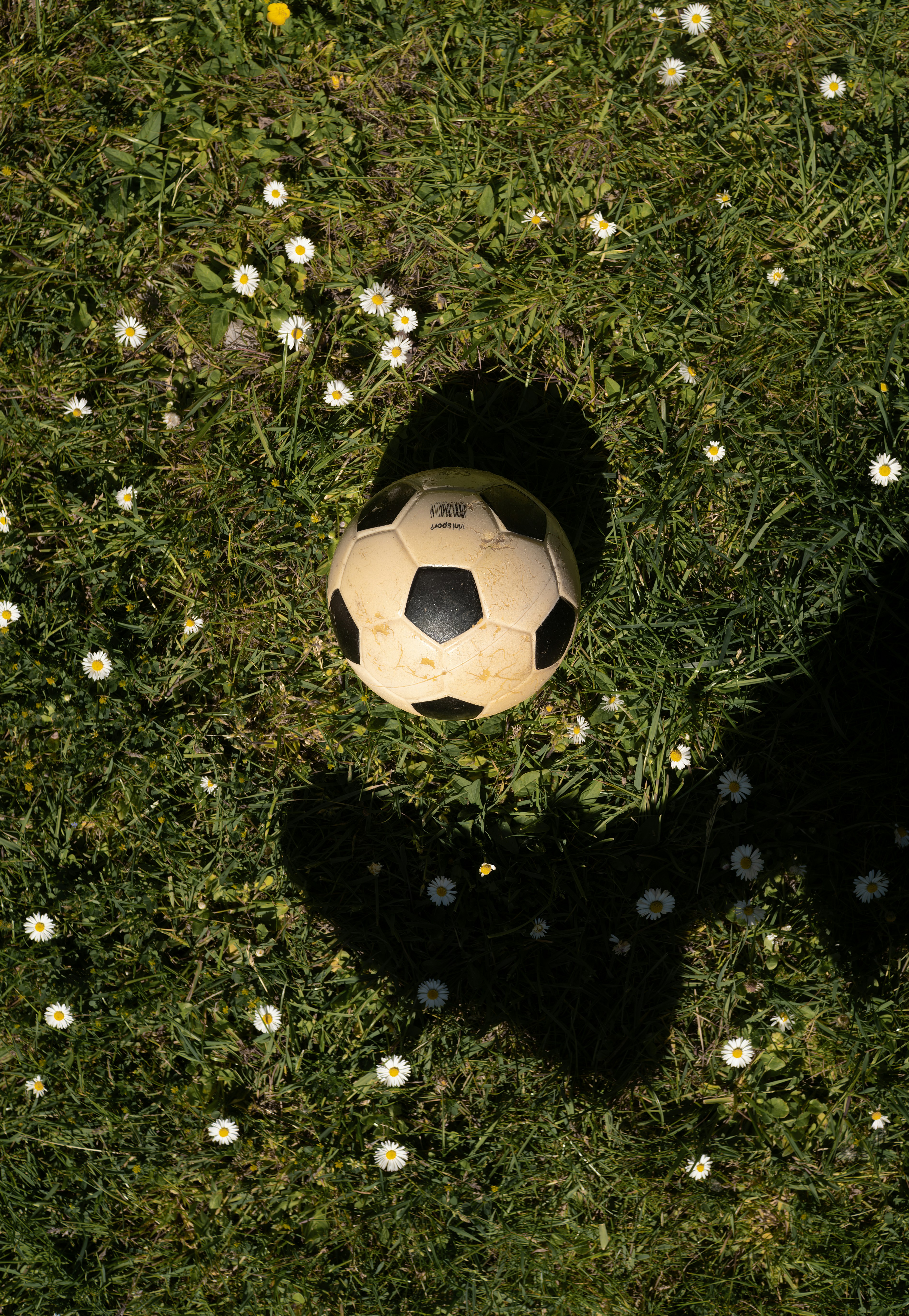 Shadow of foot kicking soccer ball on grass