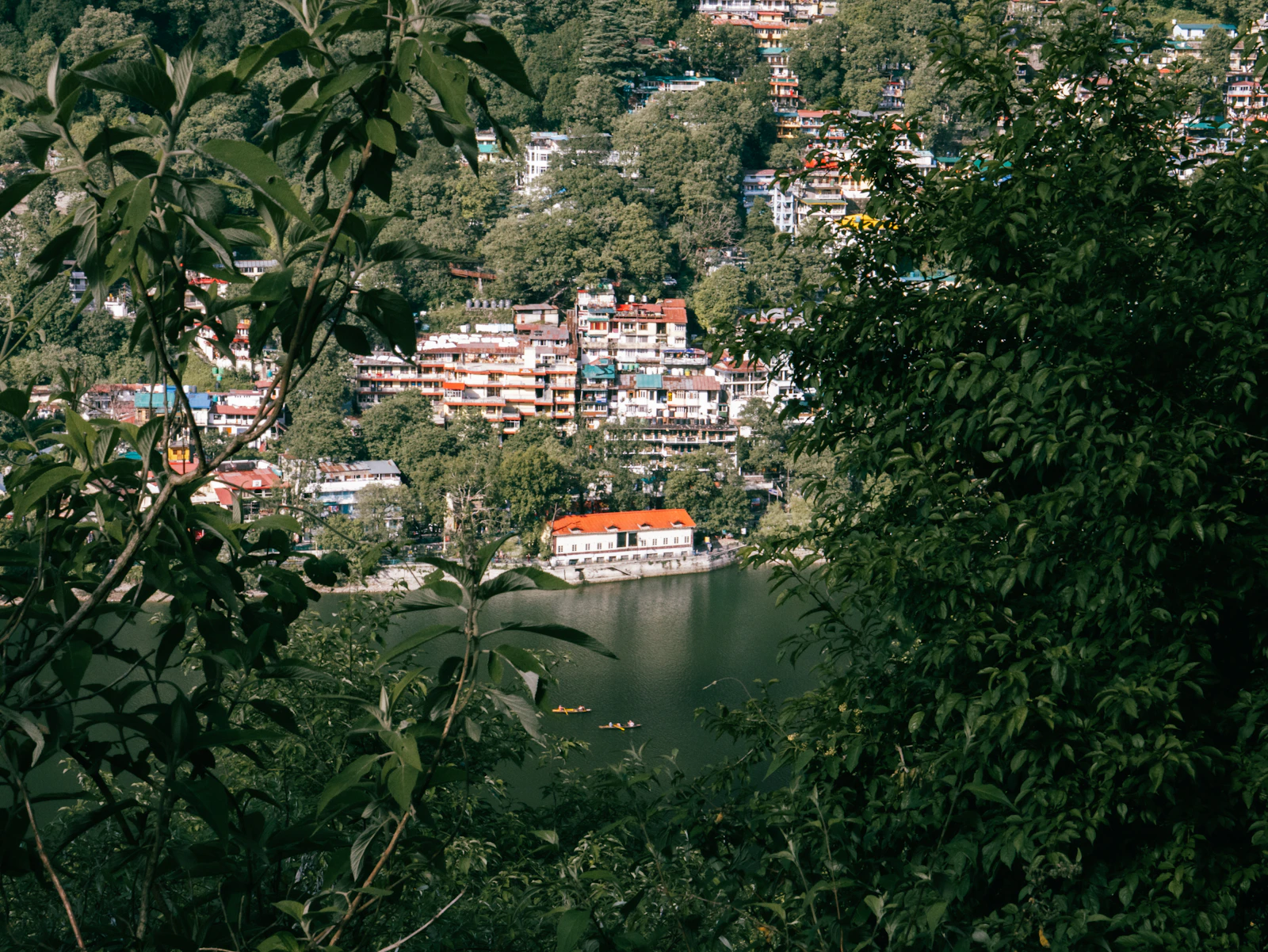 Uttarakhand — Lakes, Peaks & Jungle photo 3