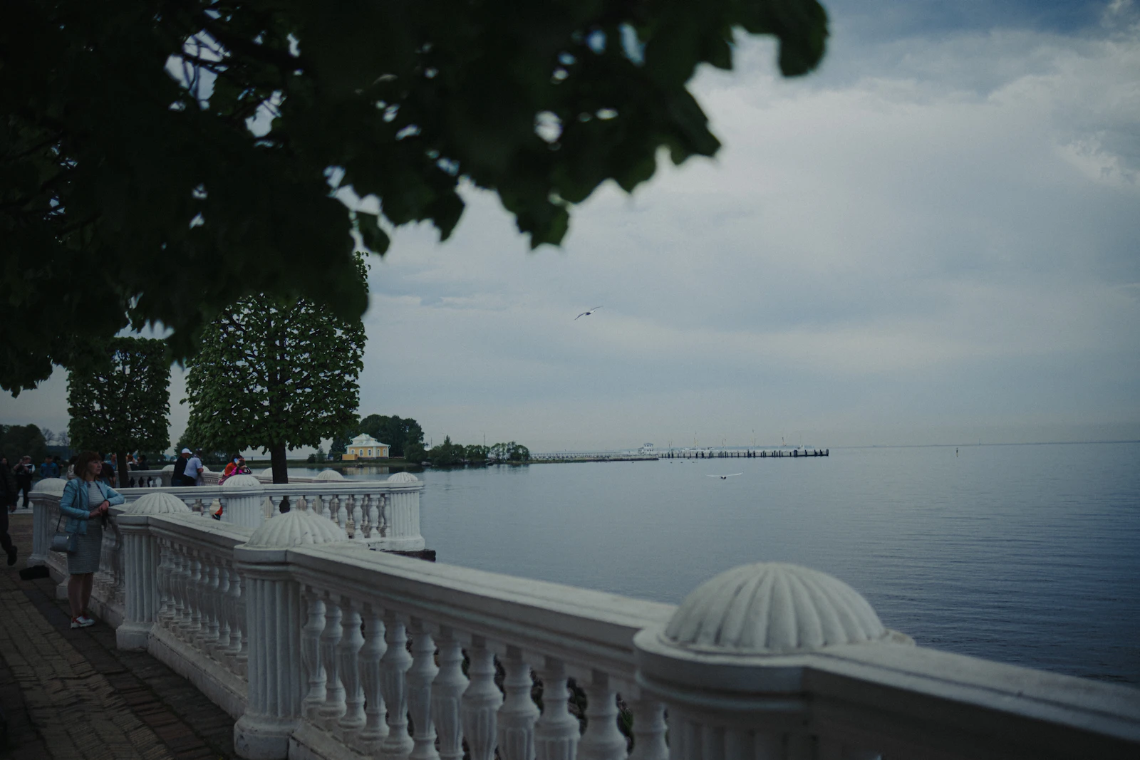 Representative image of the Bayshore Beautiful area — photo 2