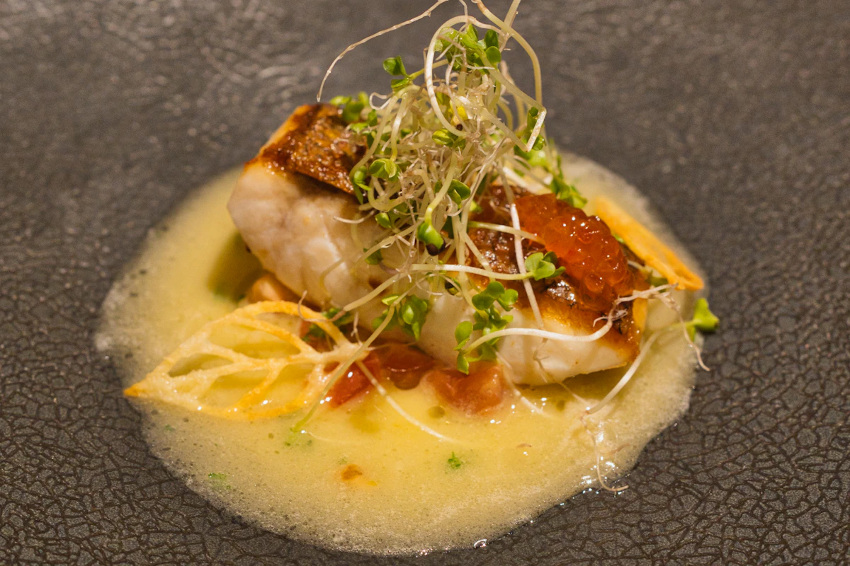 Seared fish plated in the kitchen