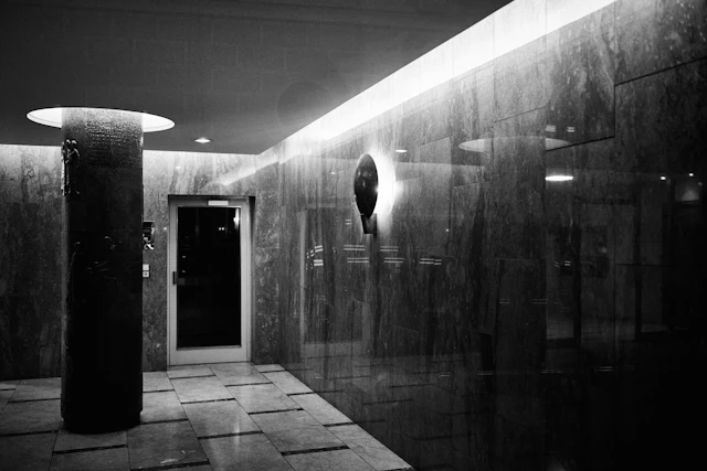 Modern interior with column, door, and reflective marble walls