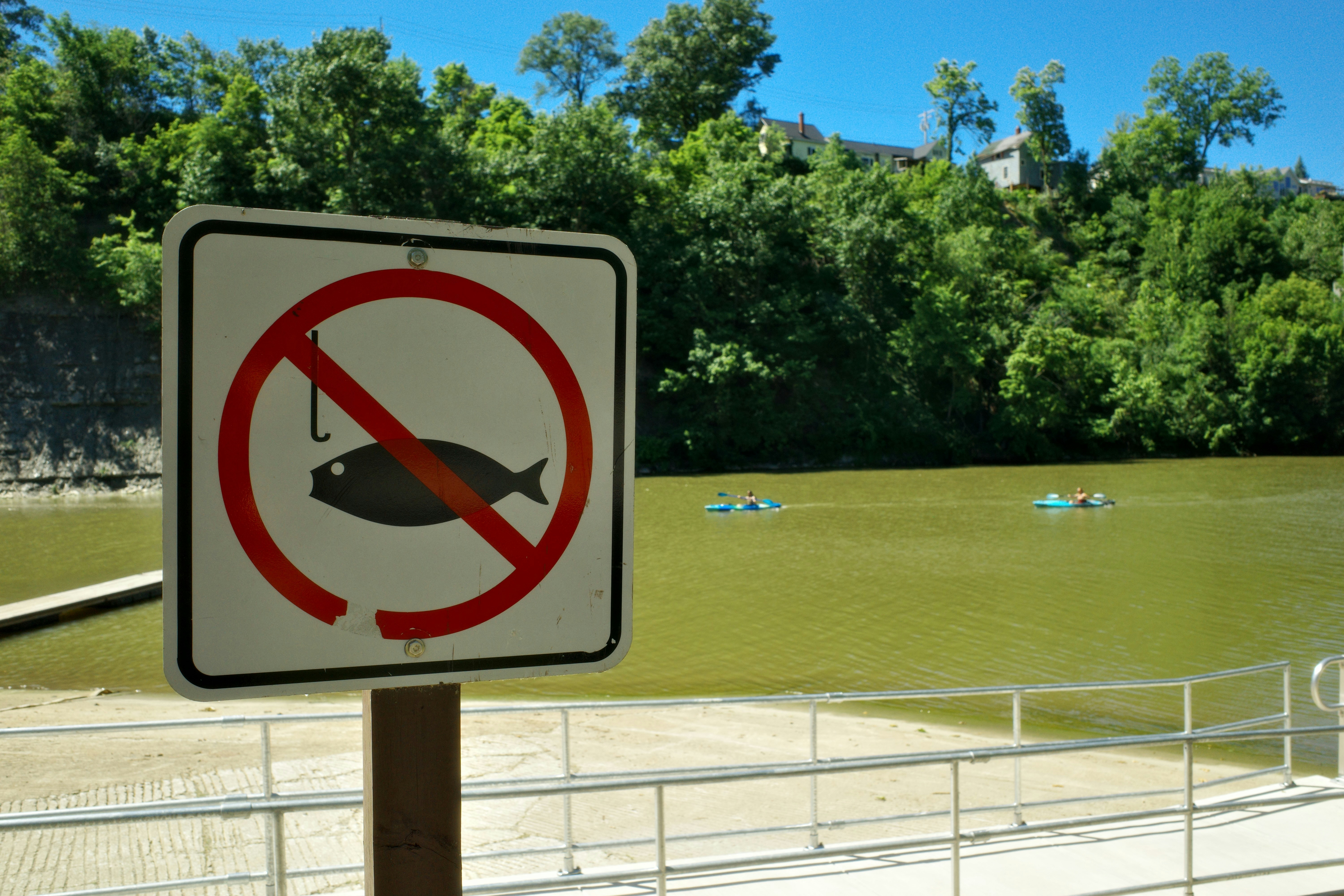 Un cartel de "prohibido pescar" está junto a un río con kayakistas.