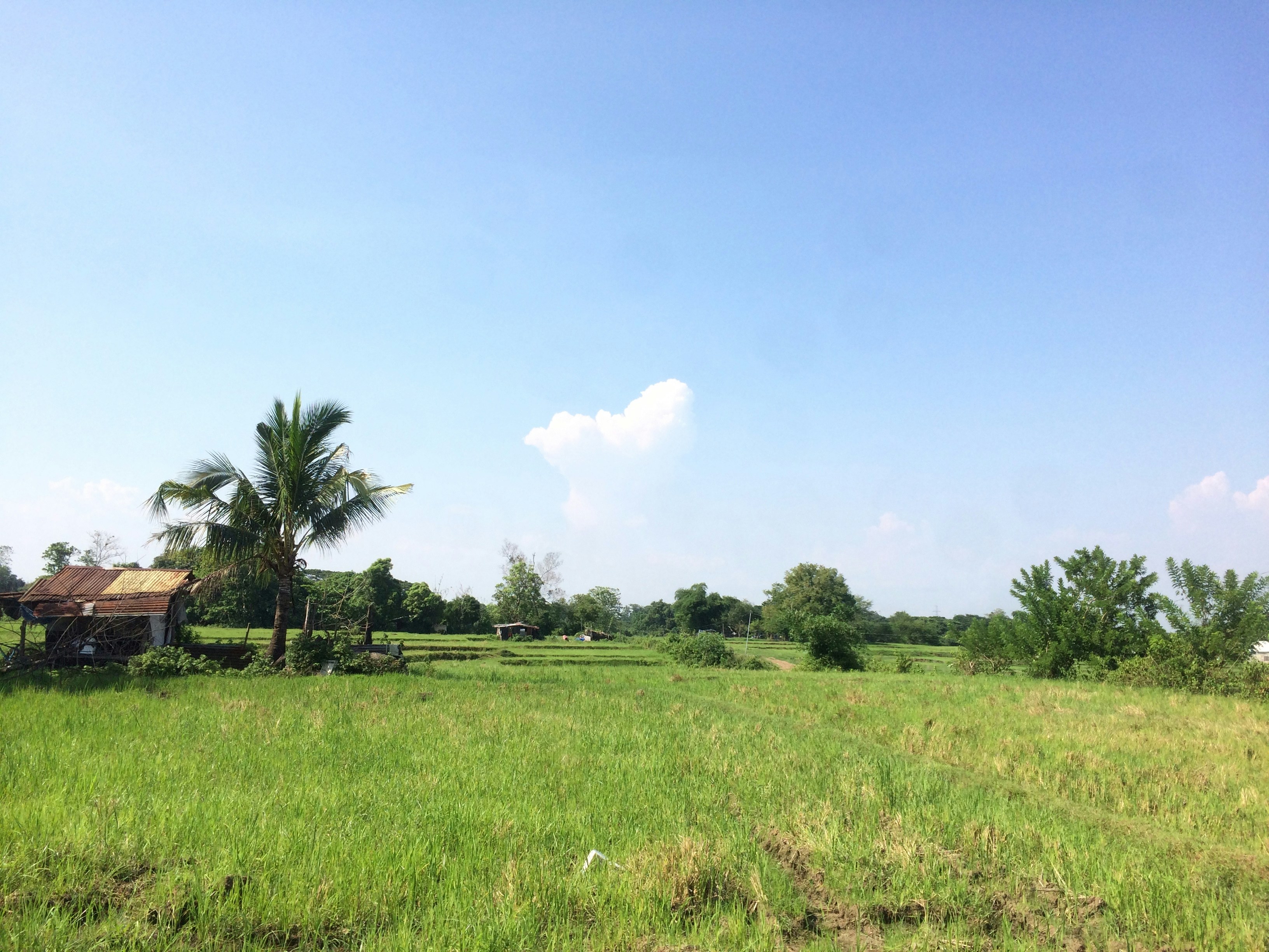 Tanah Kavling — Pamulang