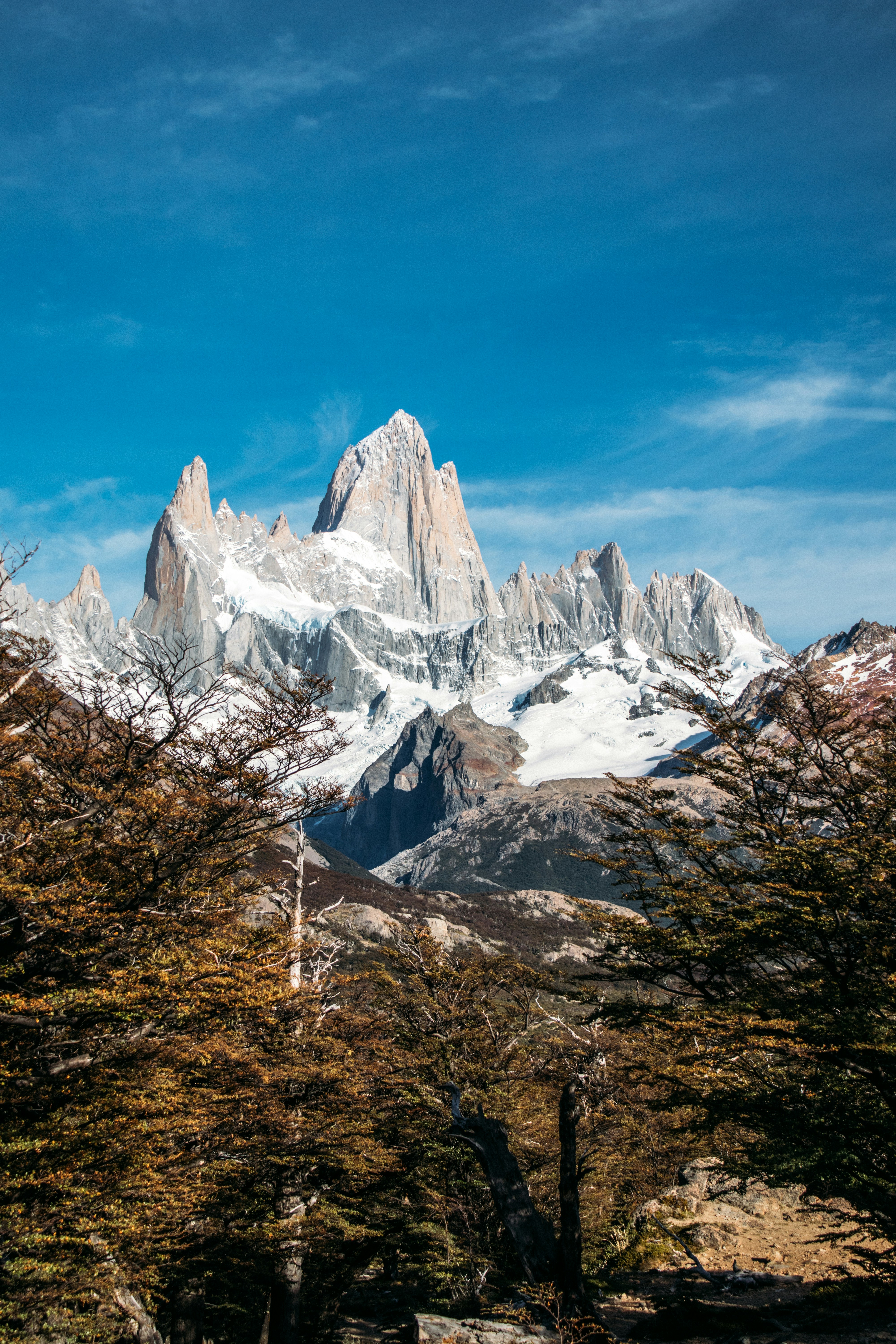 Snow-capped mountain peak with autumn trees and clear blue sky.