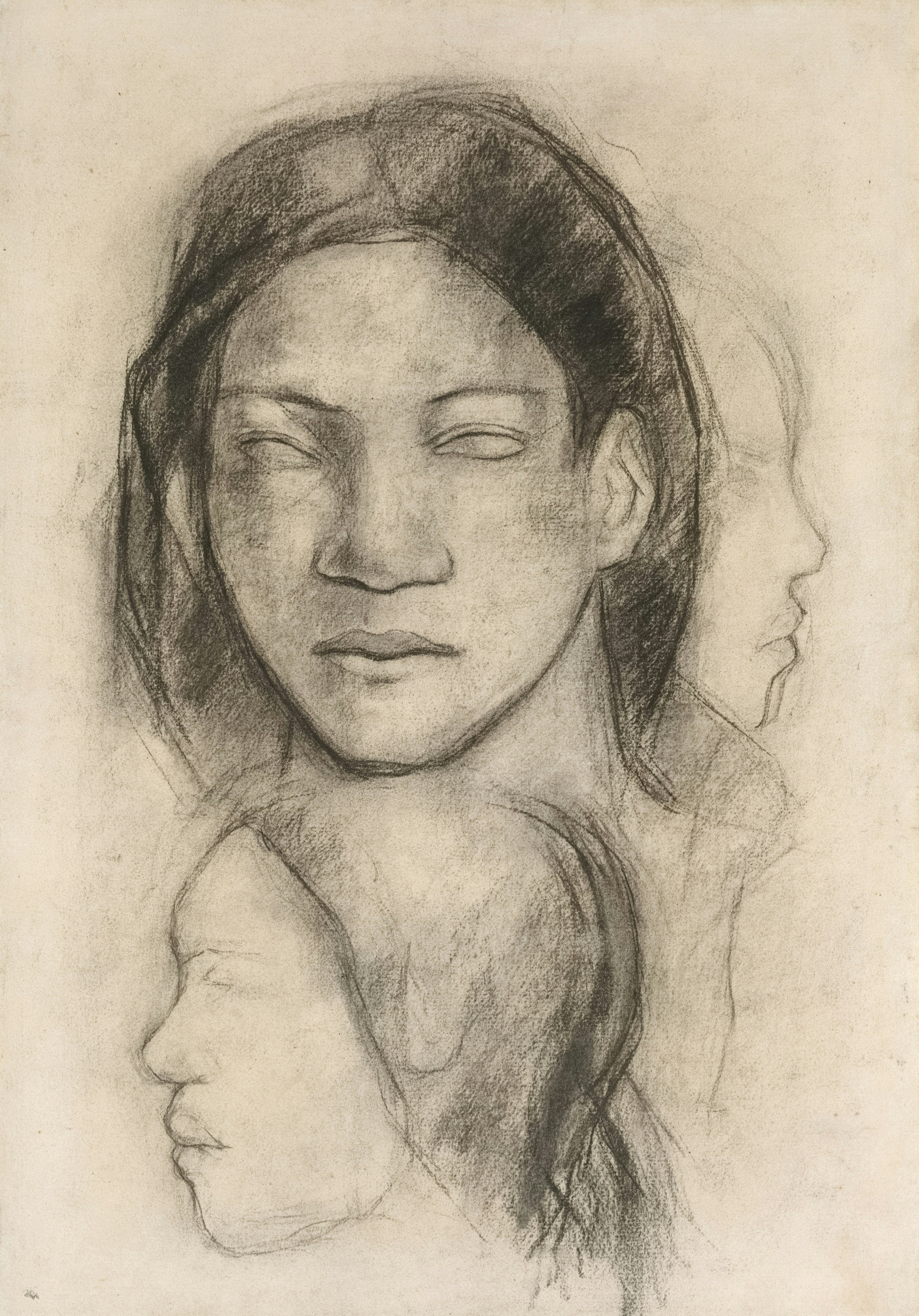 Charcoal drawing of a woman's face with multiple profiles. photo – Free ...