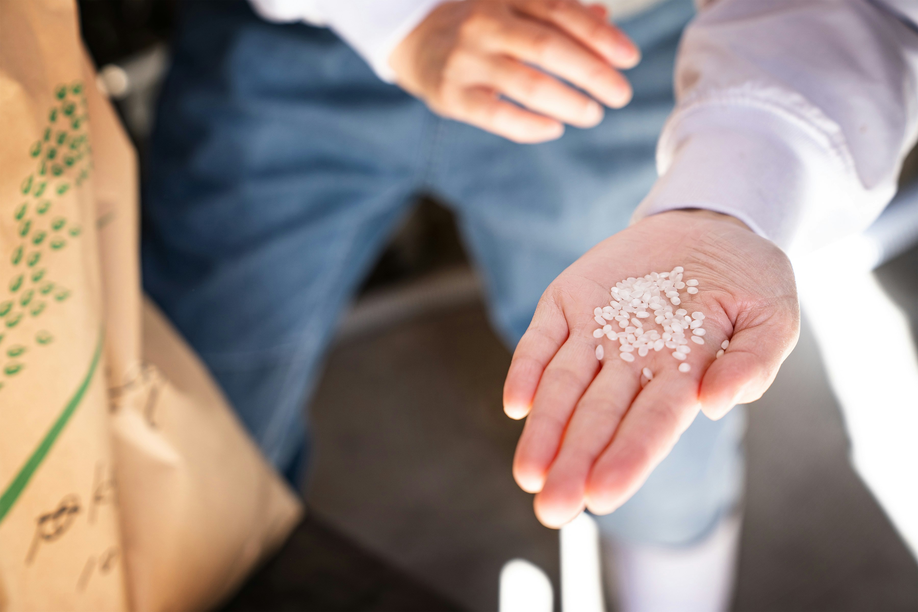 Una mano sostiene un pequeño montón de granos blancos de arroz