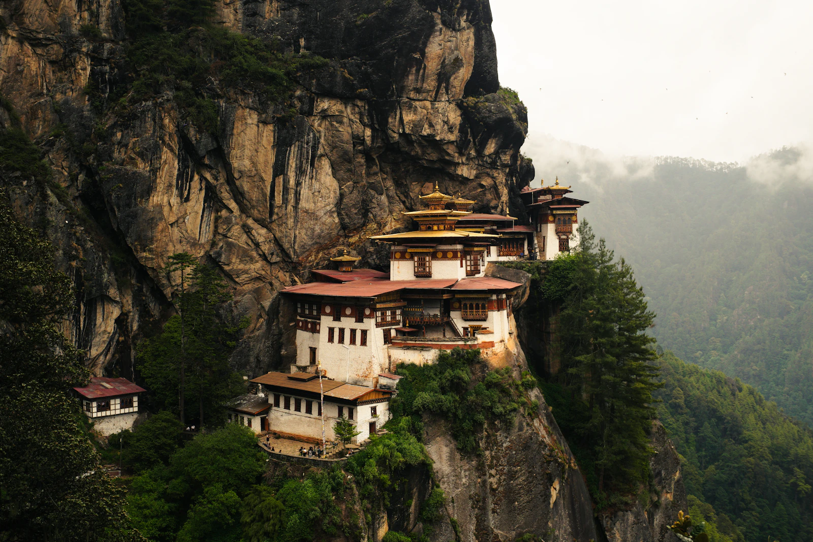 Paro Taktsang, the Tiger's Nest, its white walls and golden roofs clinging to the cliff above pine forest and drifting mist