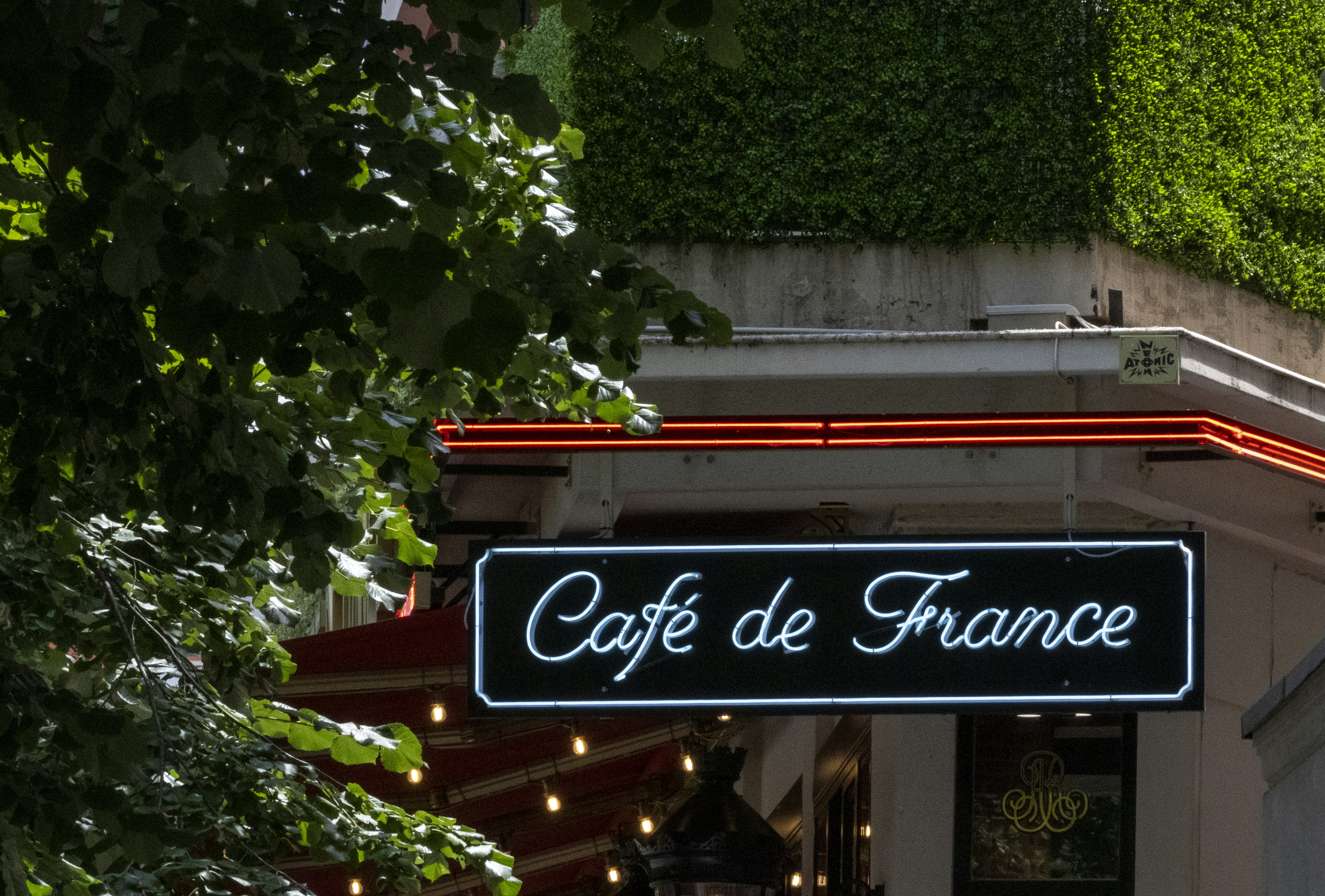 Insegna al neon del Café de France incorniciata da fogliame verde.
