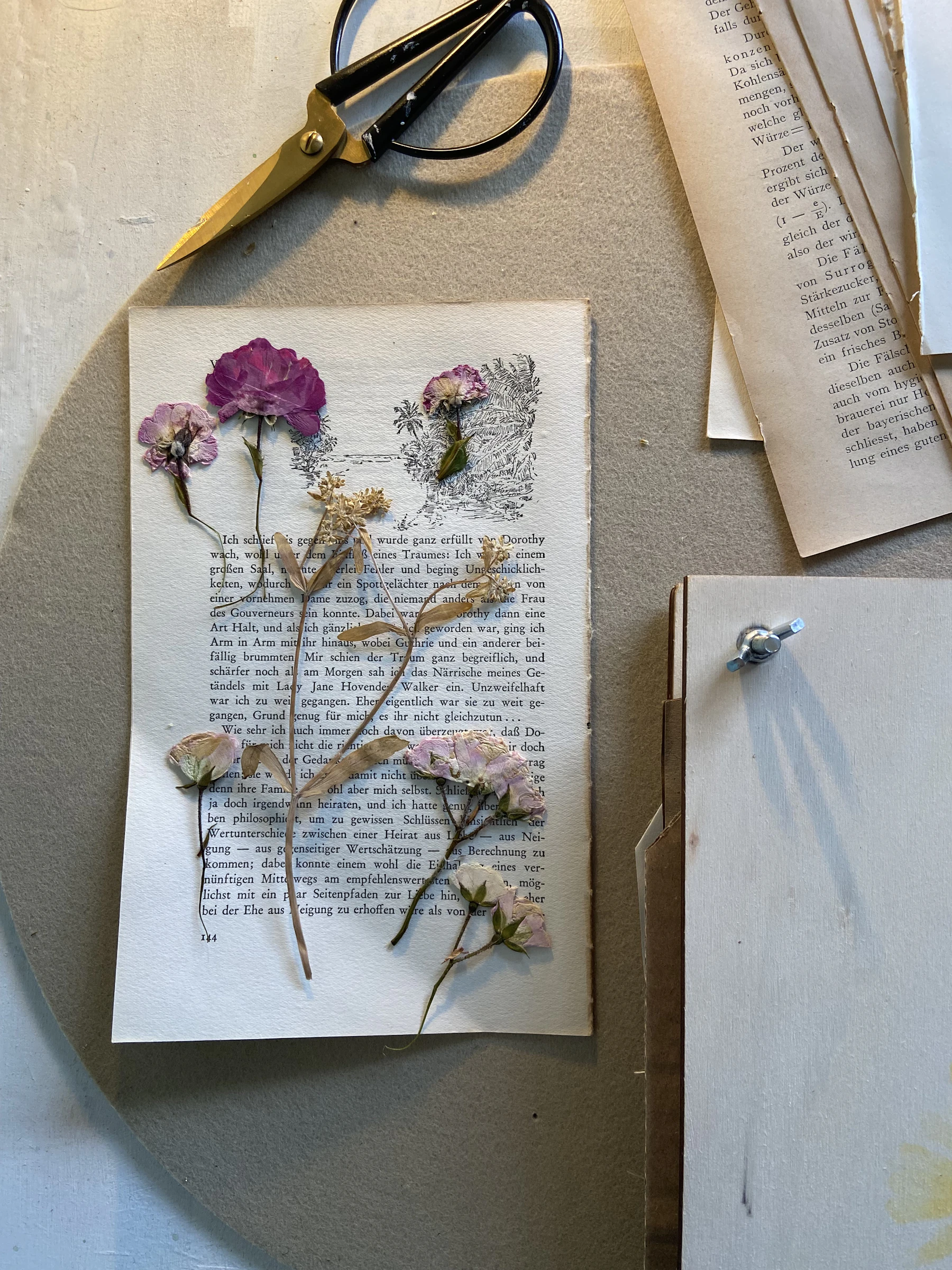 Pressed pink flower stems lying on a printed book page, with the wing nut and corner of a press board beside them