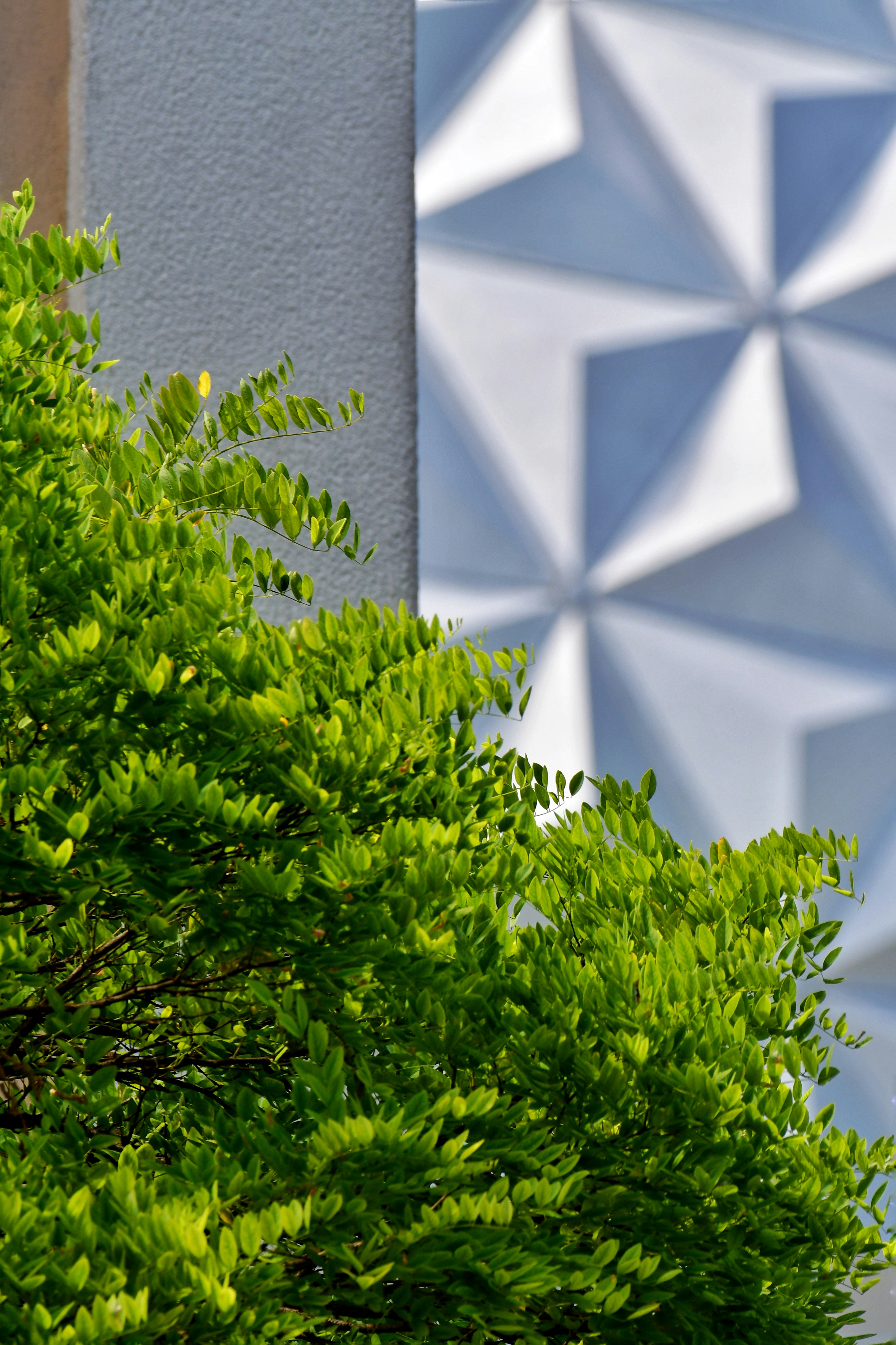 Buisson vert devant un mur à motifs géométriques