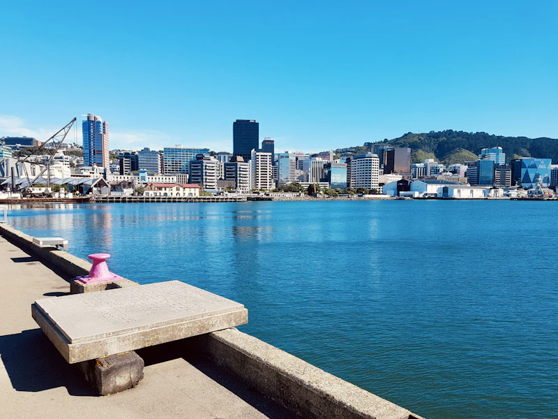 The Perfect One-Day Itinerary in Wellington: Where to Go and When