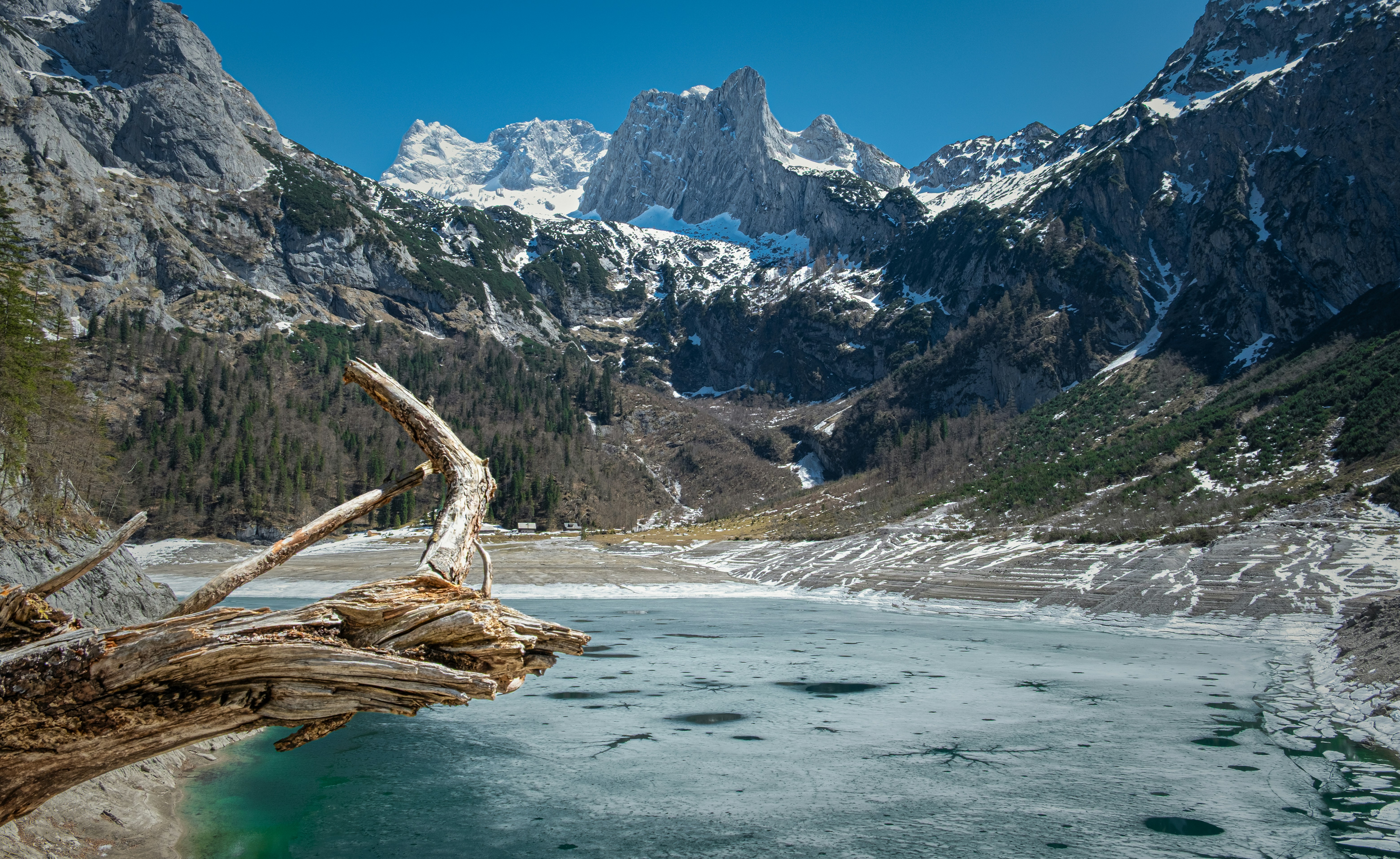 Driftwood in a partially frozen mountain lake with snowy peaks