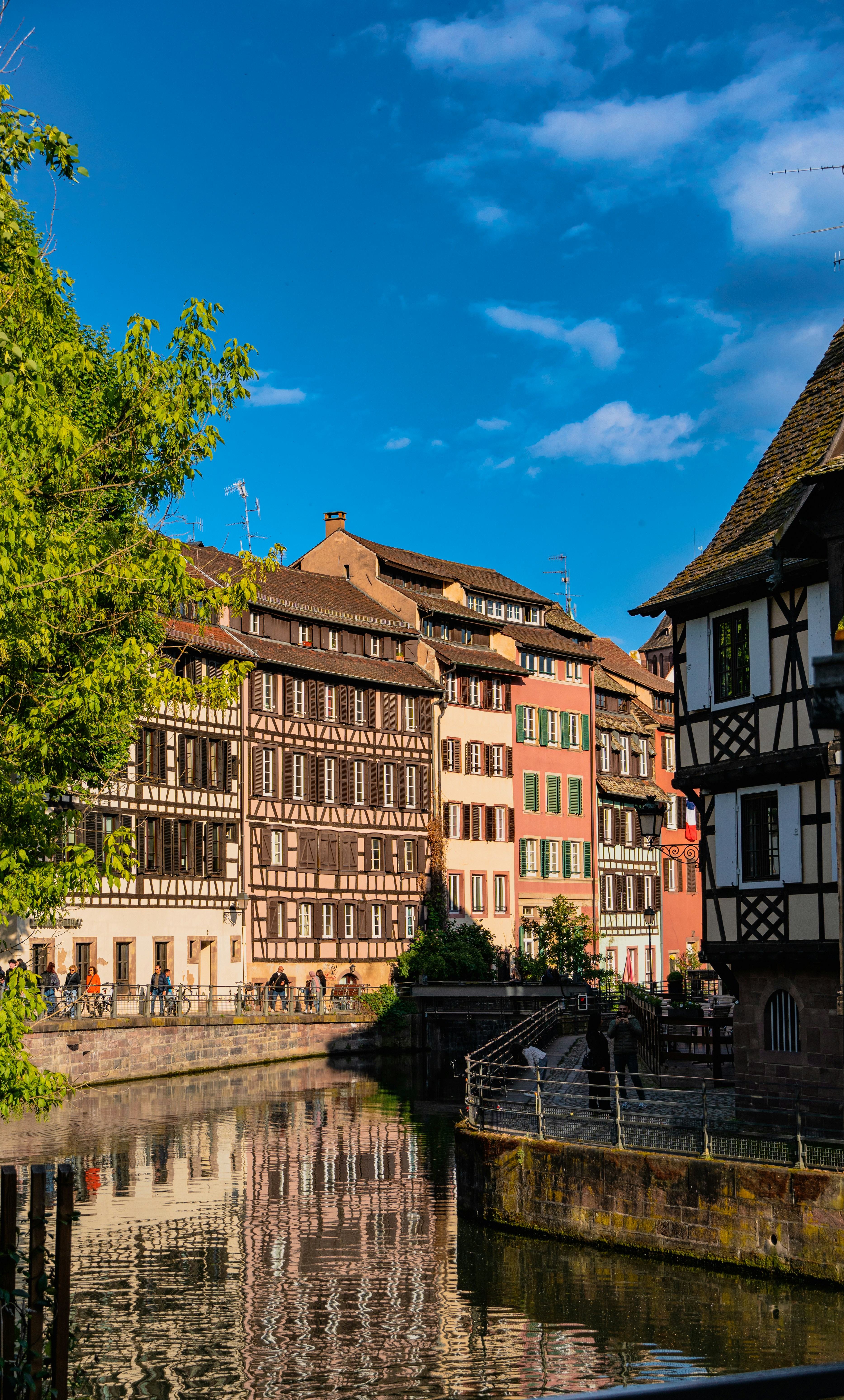 Day Trips From Strasbourg: The Alsace Christmas Trail