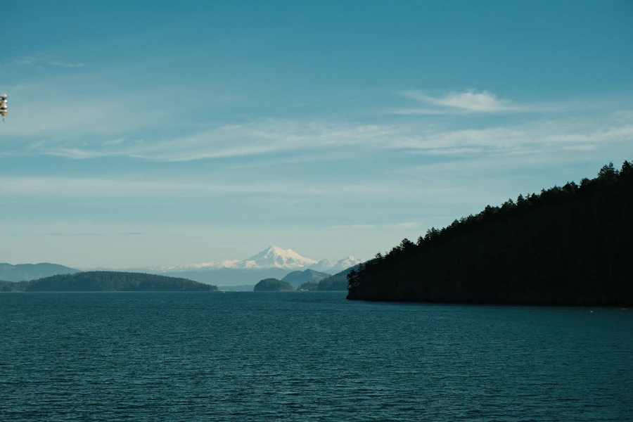 Coastal Vancouver Island feel