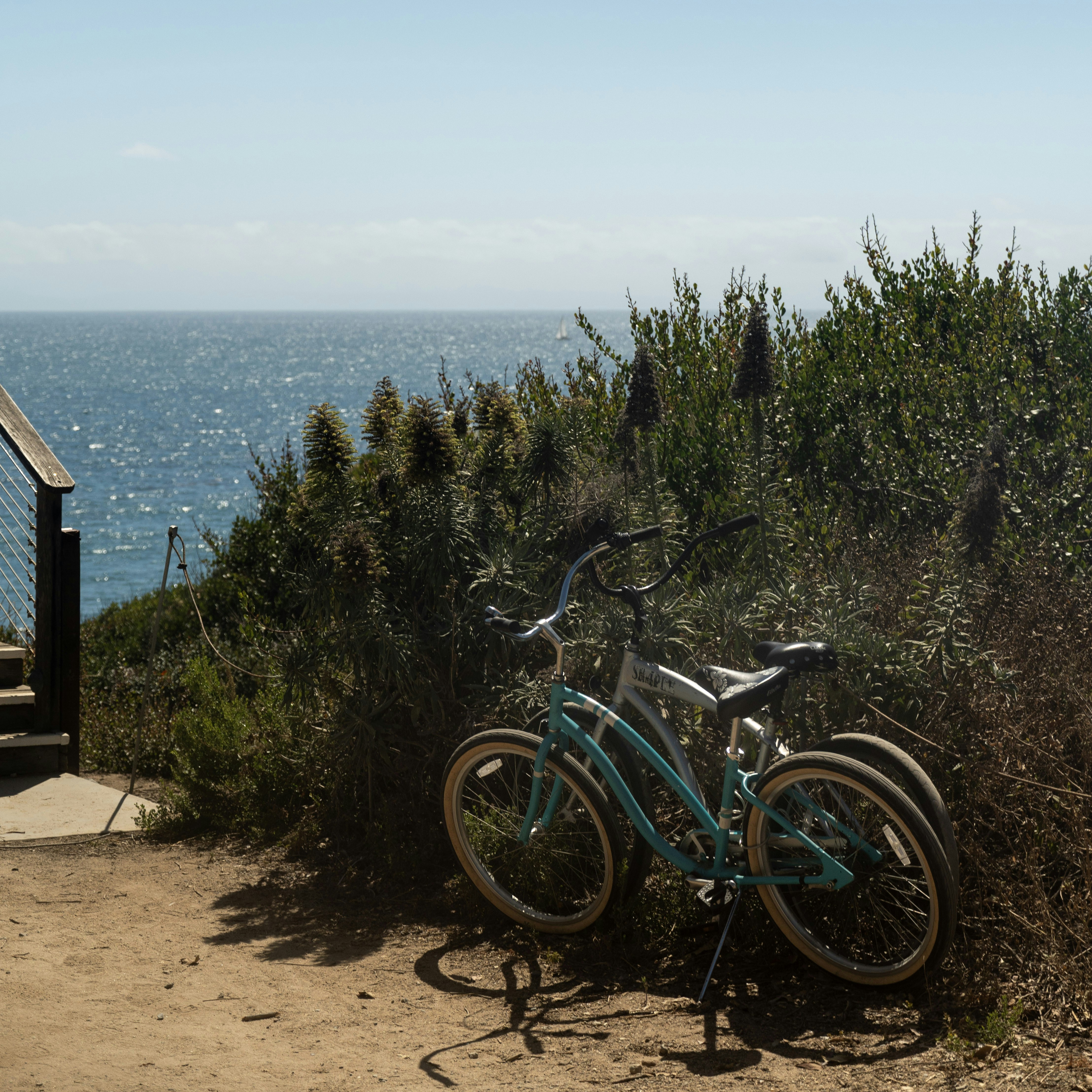 Teal and white bicycles lean by bushes overlooking the ocean.