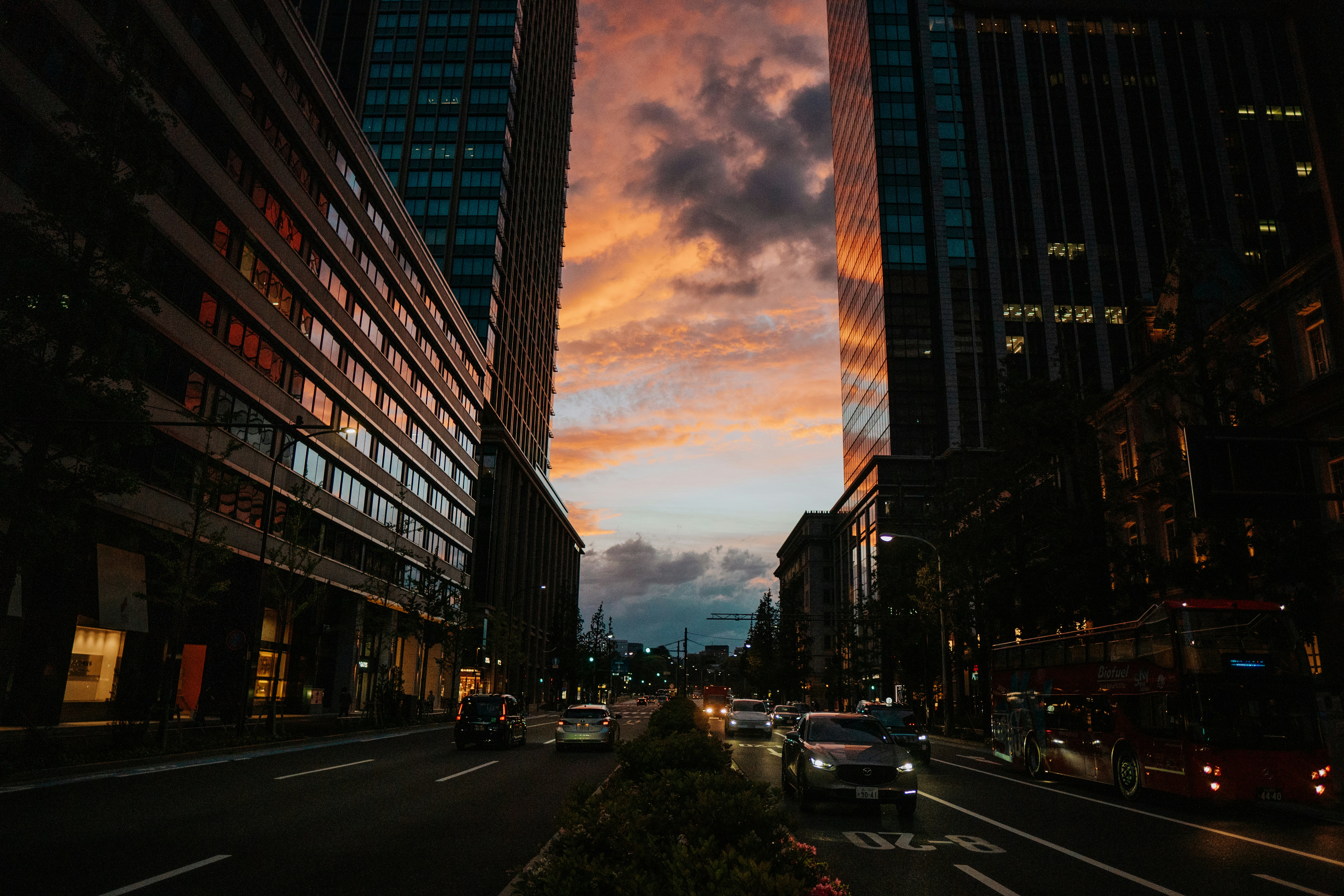 夕暮れ時の街の通りには、高層ビルや車が立ち並んでいます。