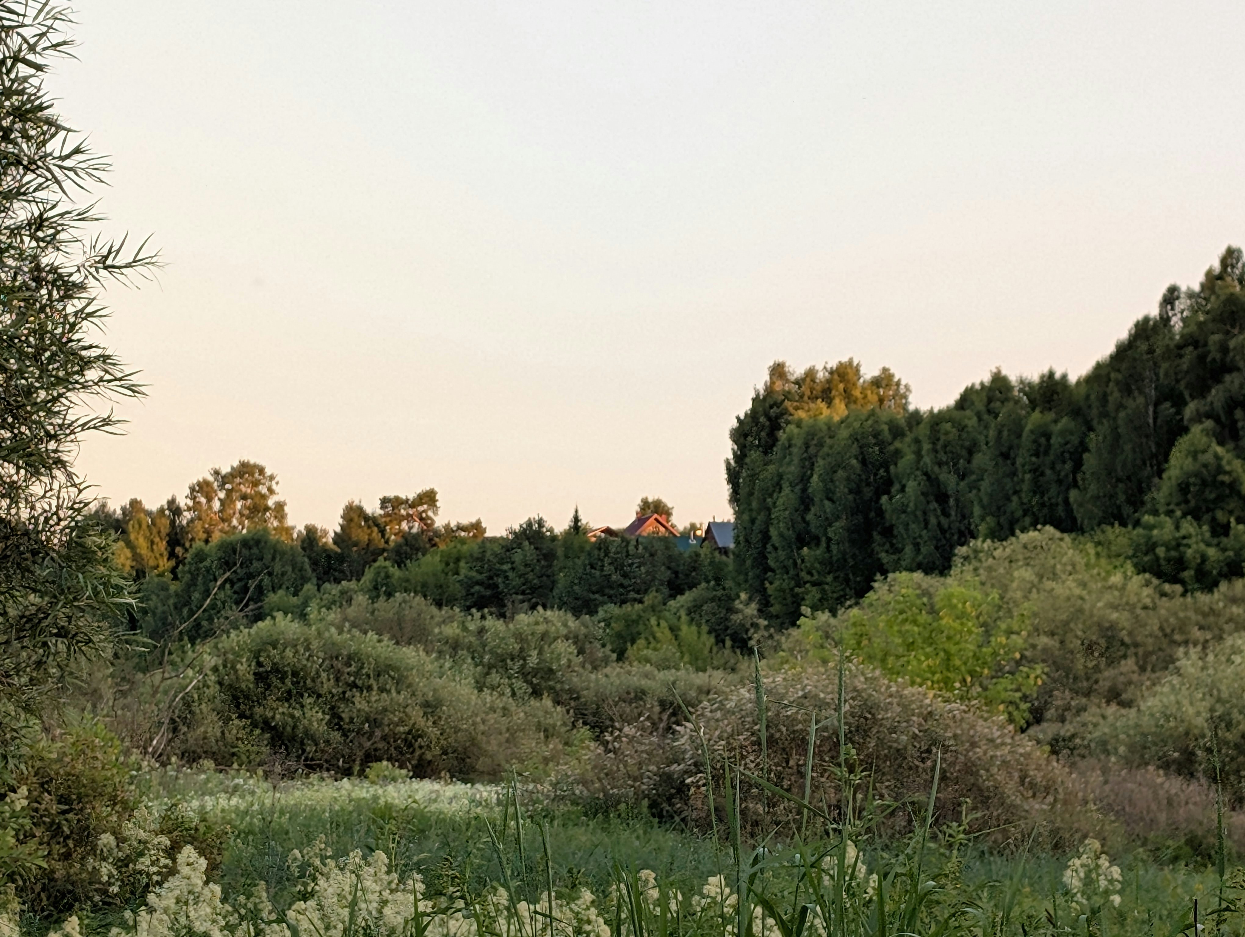 Nature Lush Green Landscape With Trees And A Pale Evening Sky. 4K Wallpaper #2356