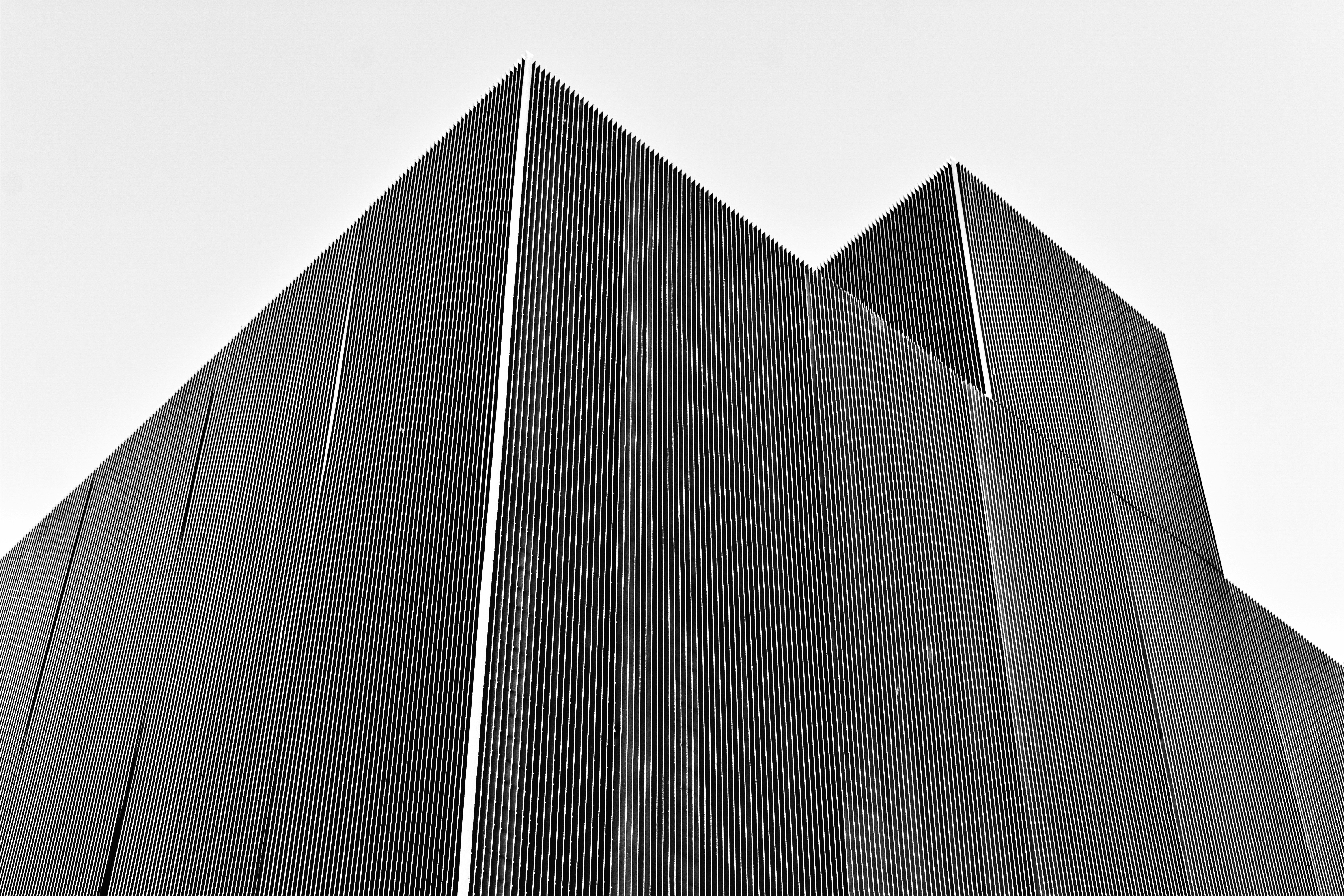 How Wellington Adapted to Extreme Winds with Specialized Architecture - windiest city Wellington