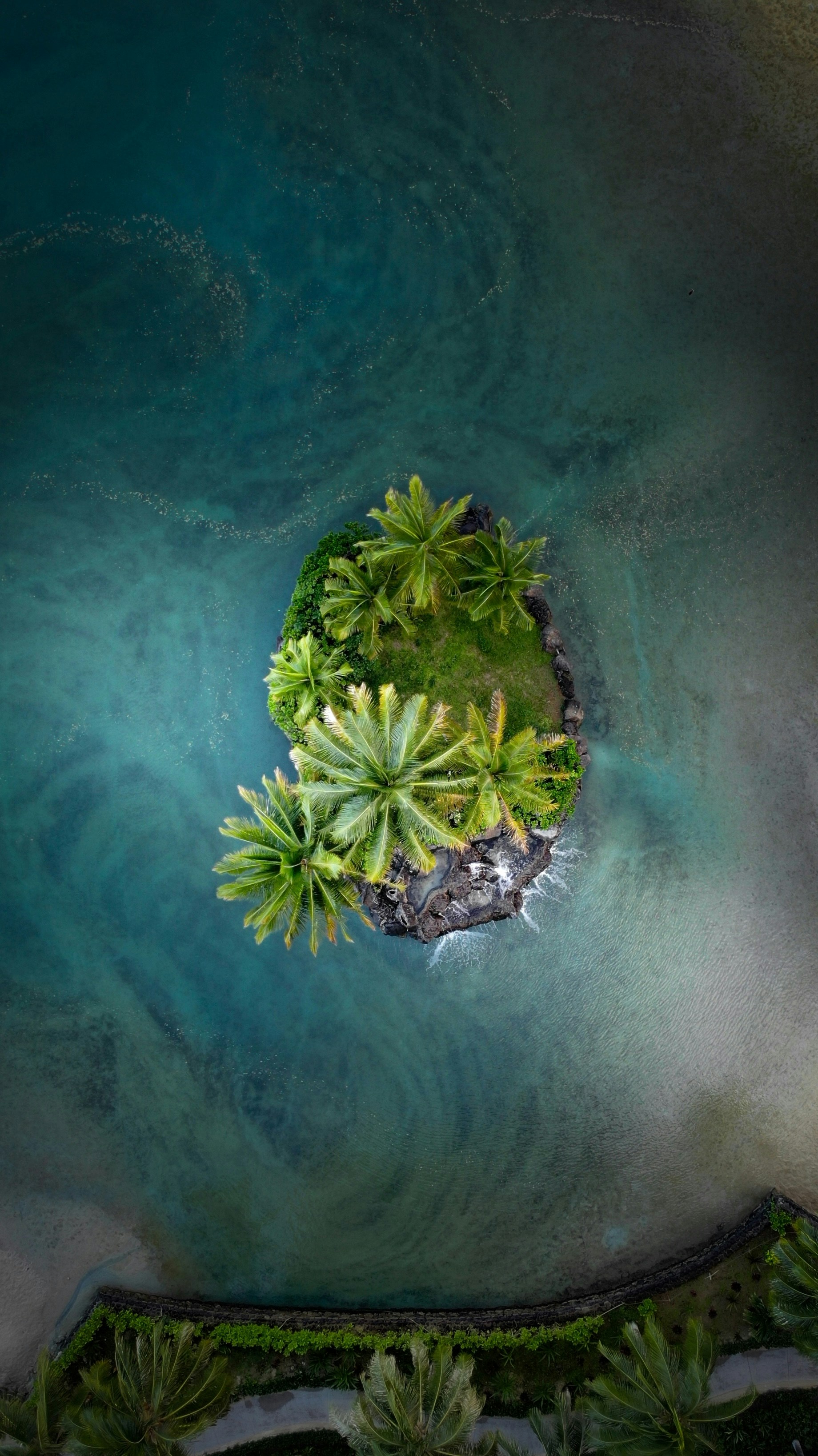 Tiny green island with palm trees in turquoise ocean water.