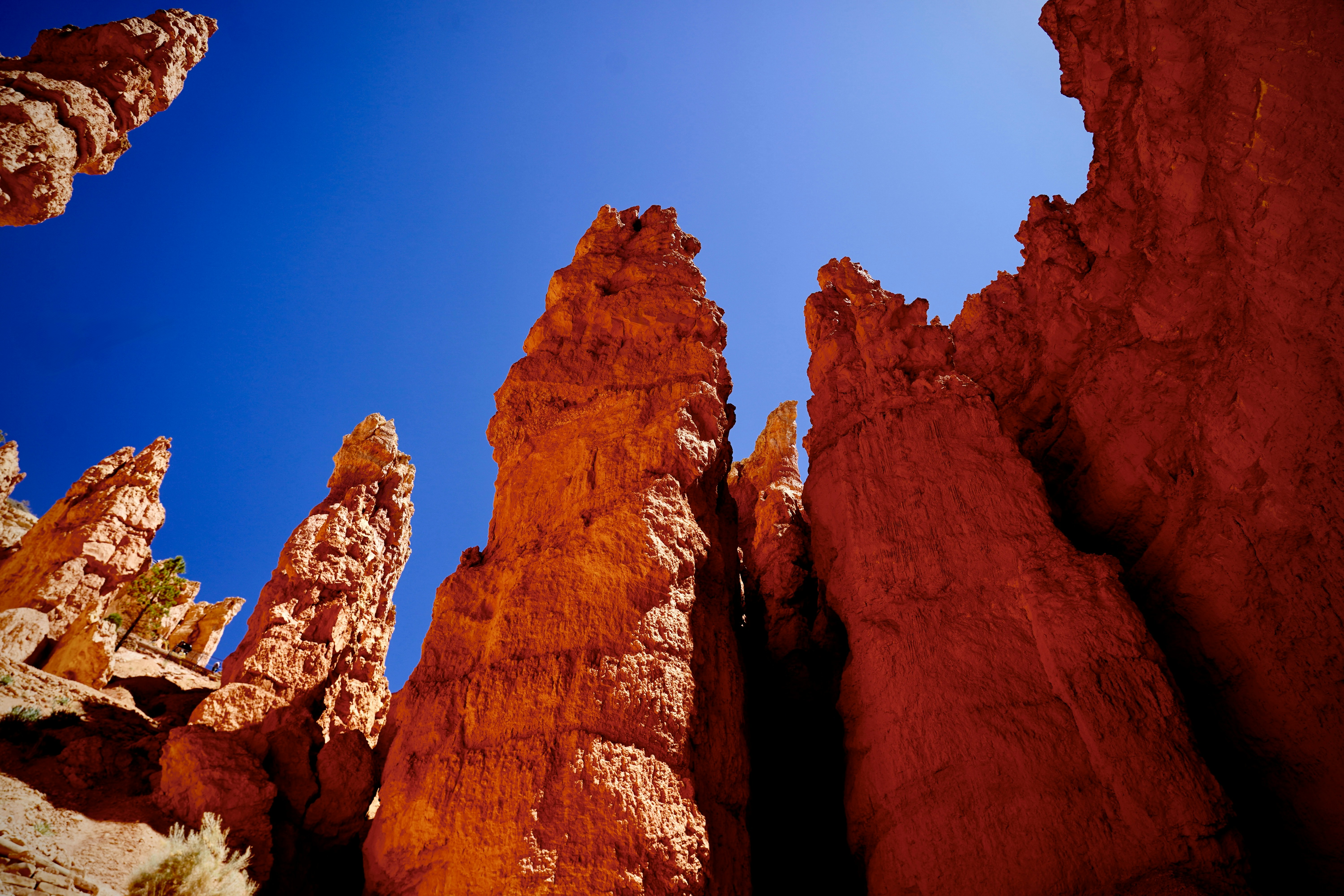 Alte formazioni rocciose rosse contro un cielo azzurro limpido.