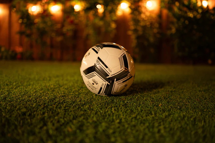 Artificial Turf in Carrollton, TX