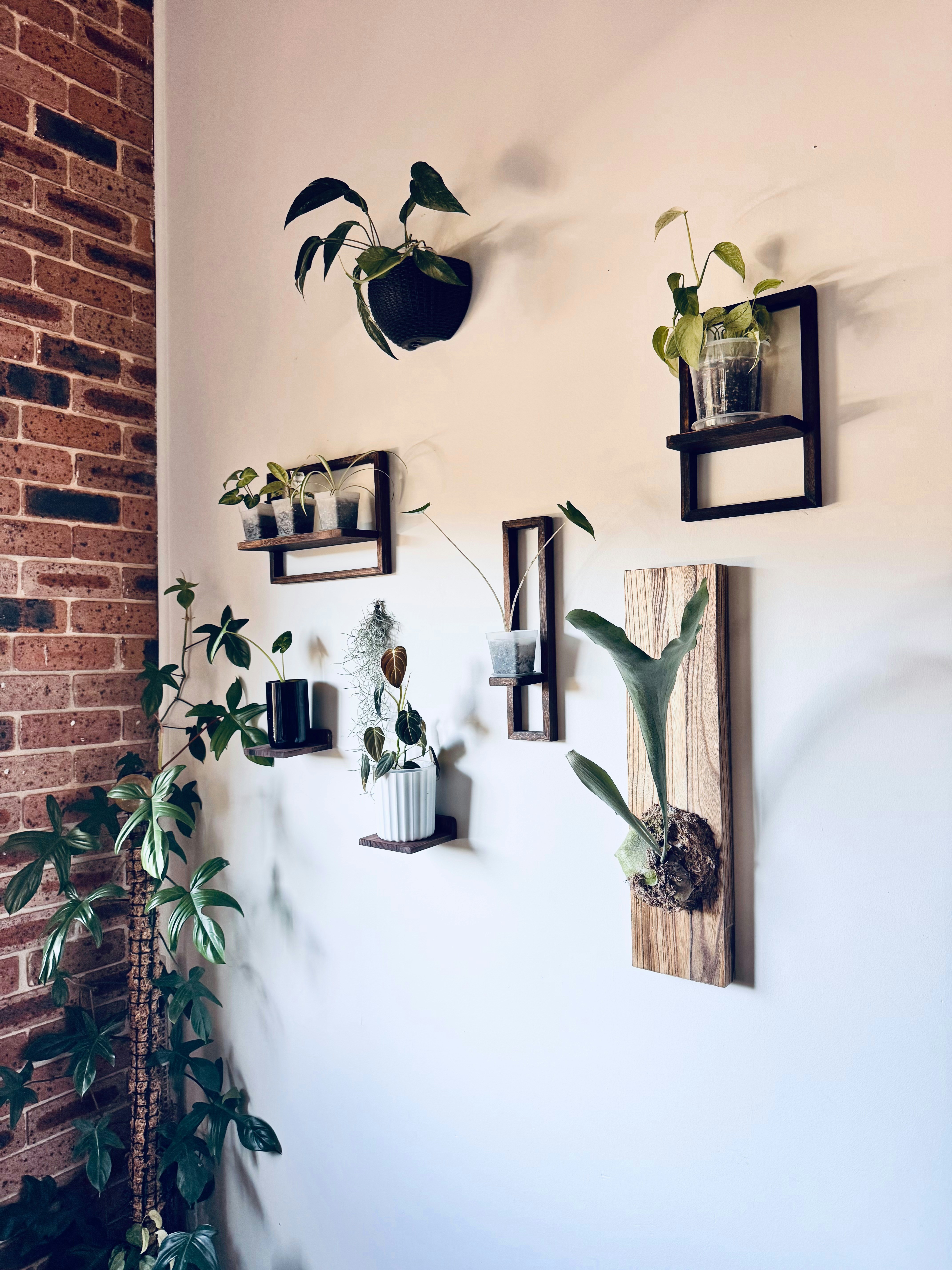 Anna Manson (@leafyinteriors) | Communauté photos Unsplash