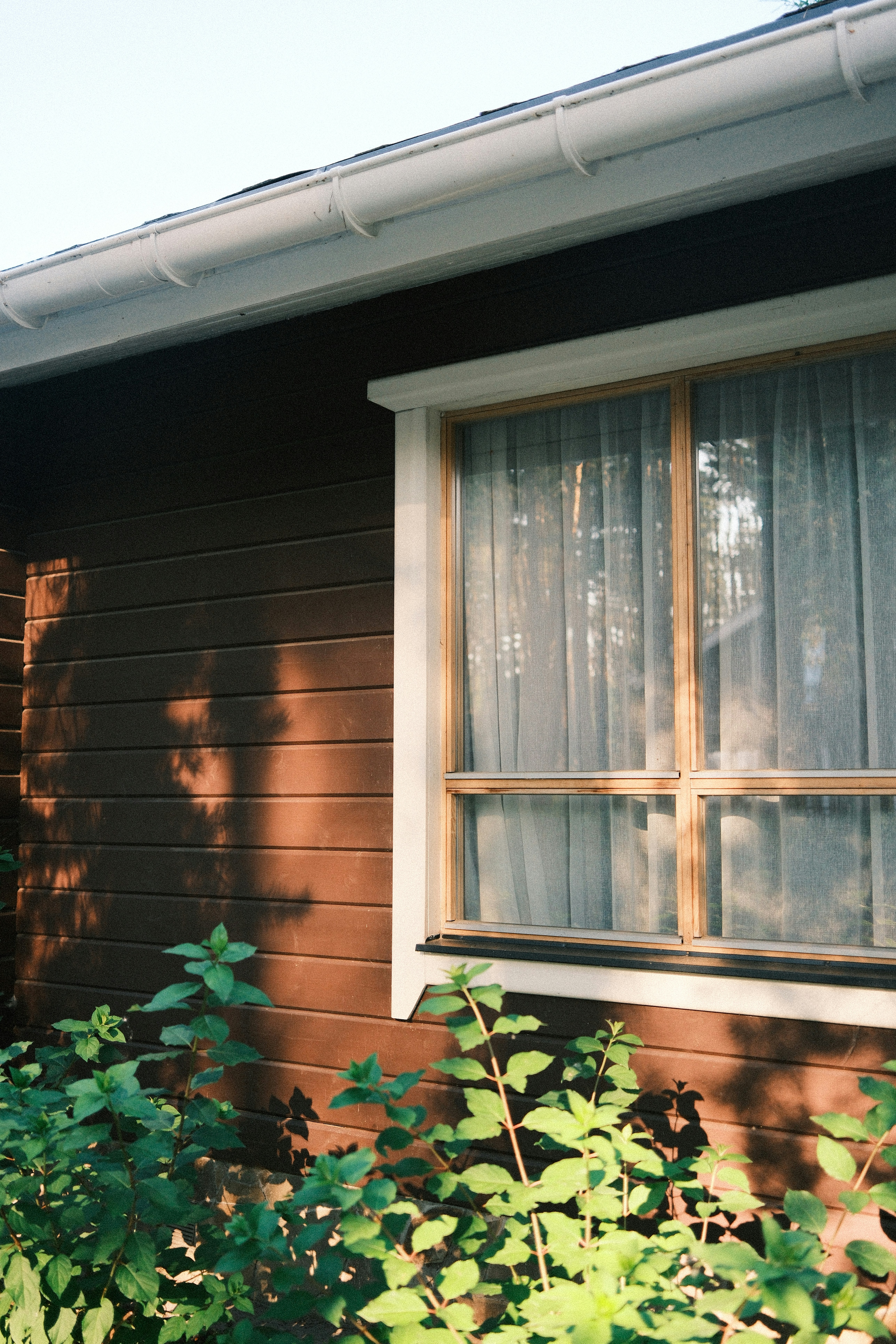 Wooden house exterior with window and green foliage