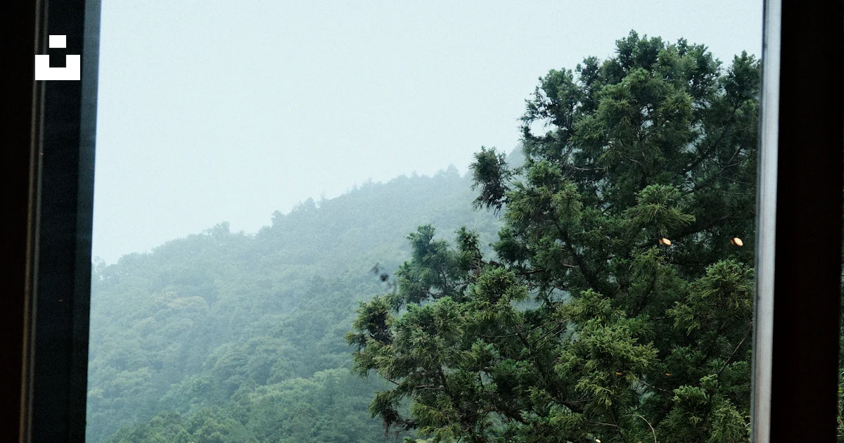 Vert Stack Arbres verts à travers la fenêtre - Photo gratuite sur Unsplash