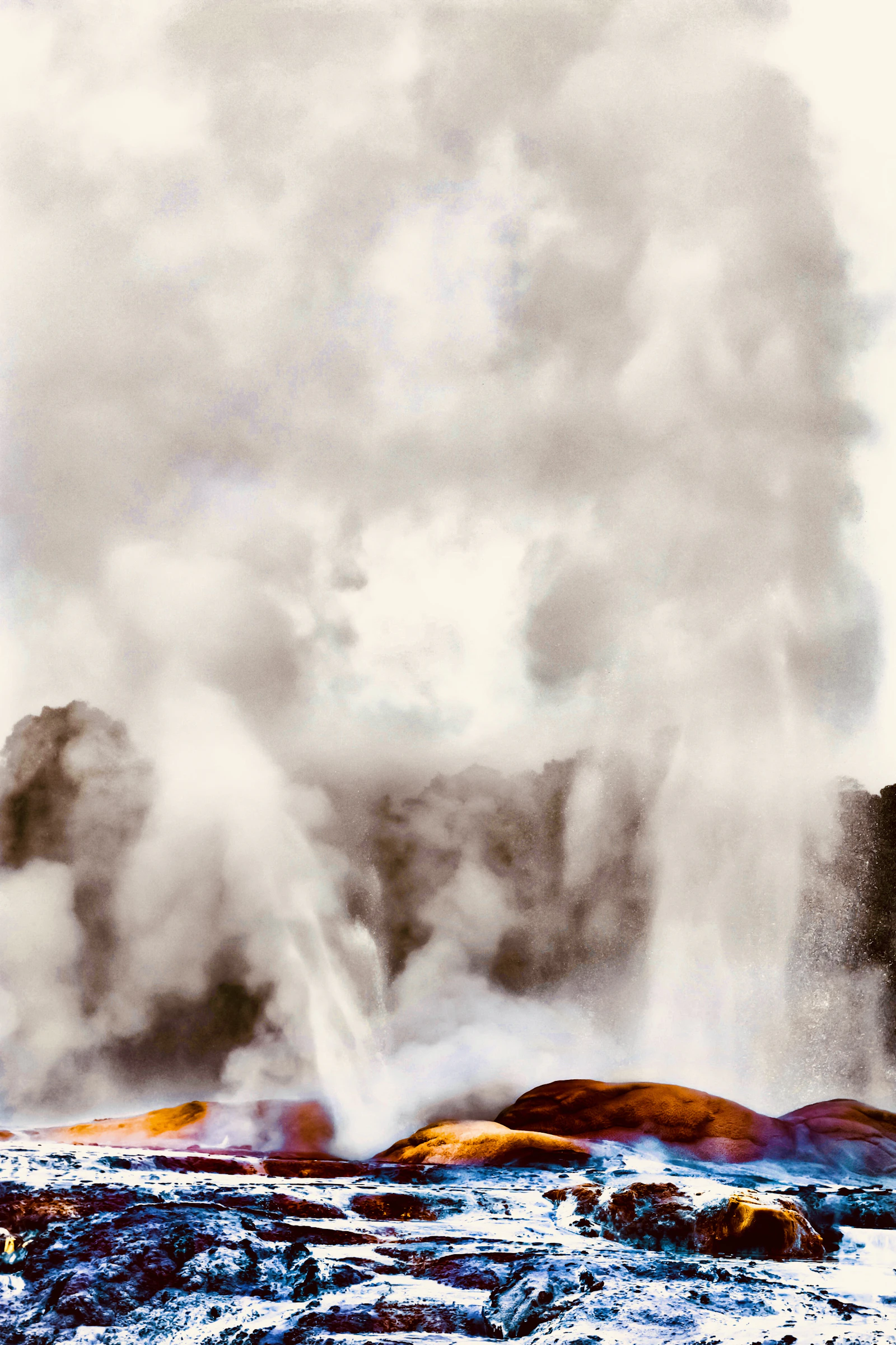 A geyser erupting against a pale sky at Rotorua