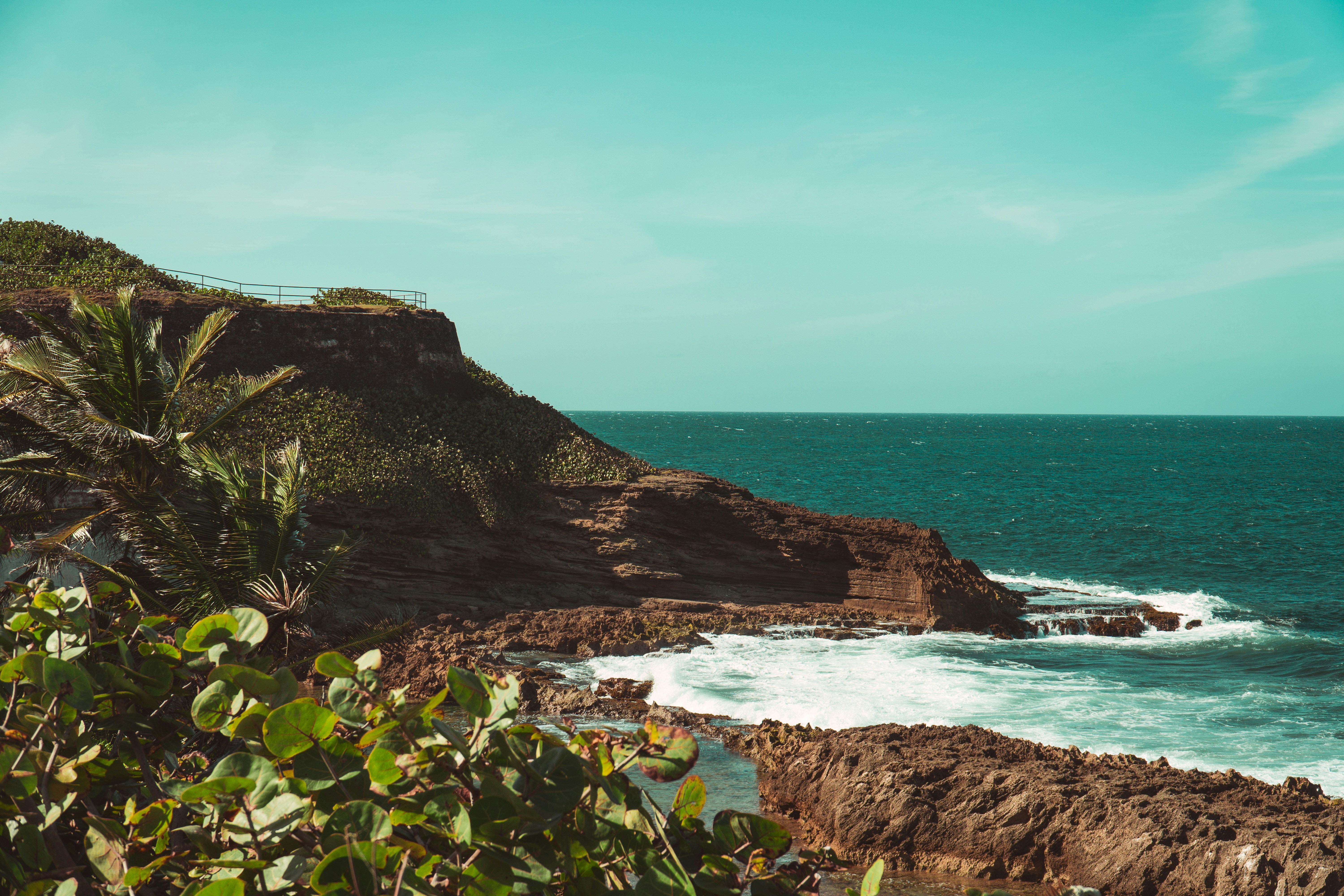 Vibrant blue ocean meets a rocky, vegetated cliffside