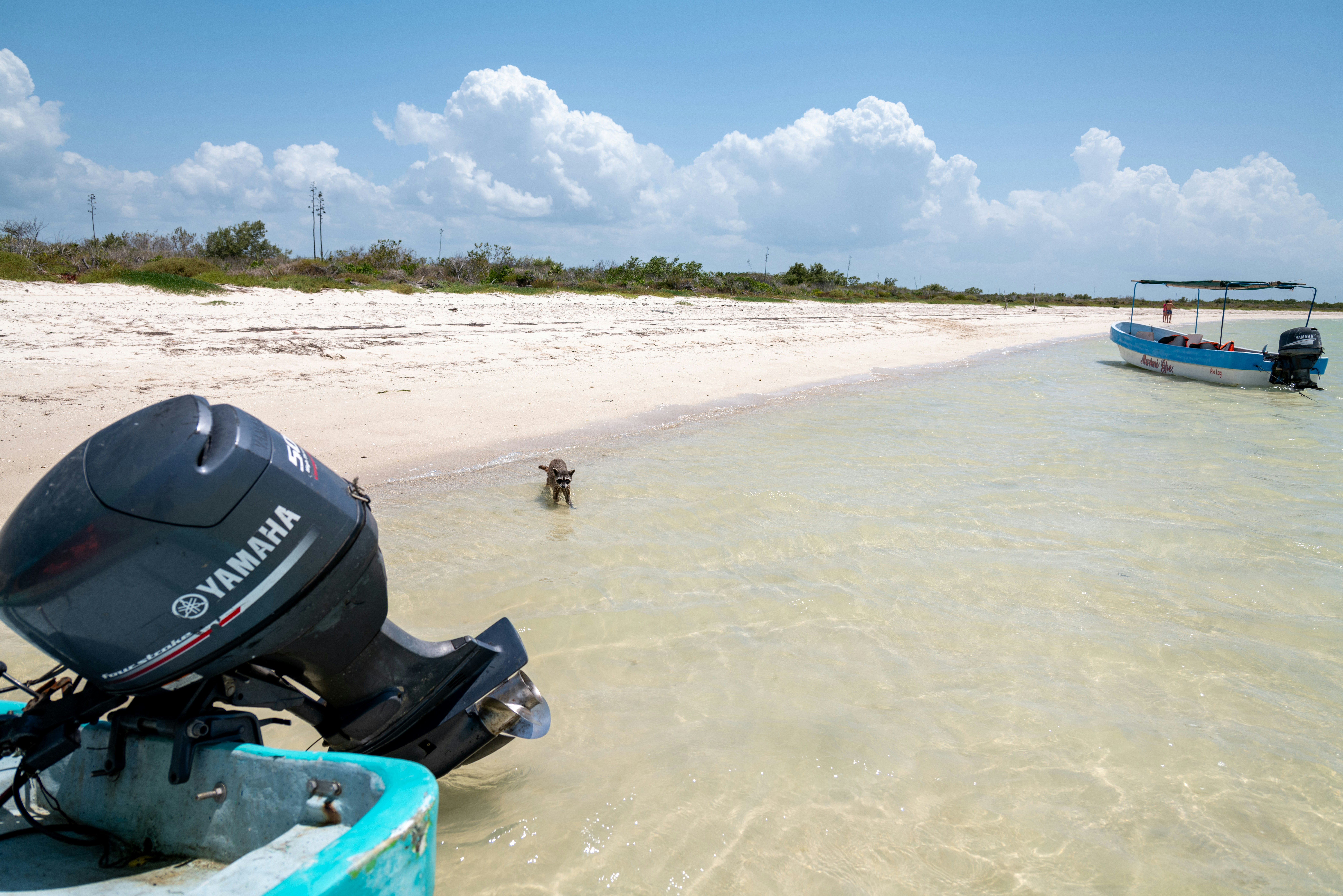 Two boats near a sandy beach with clear shallow water.