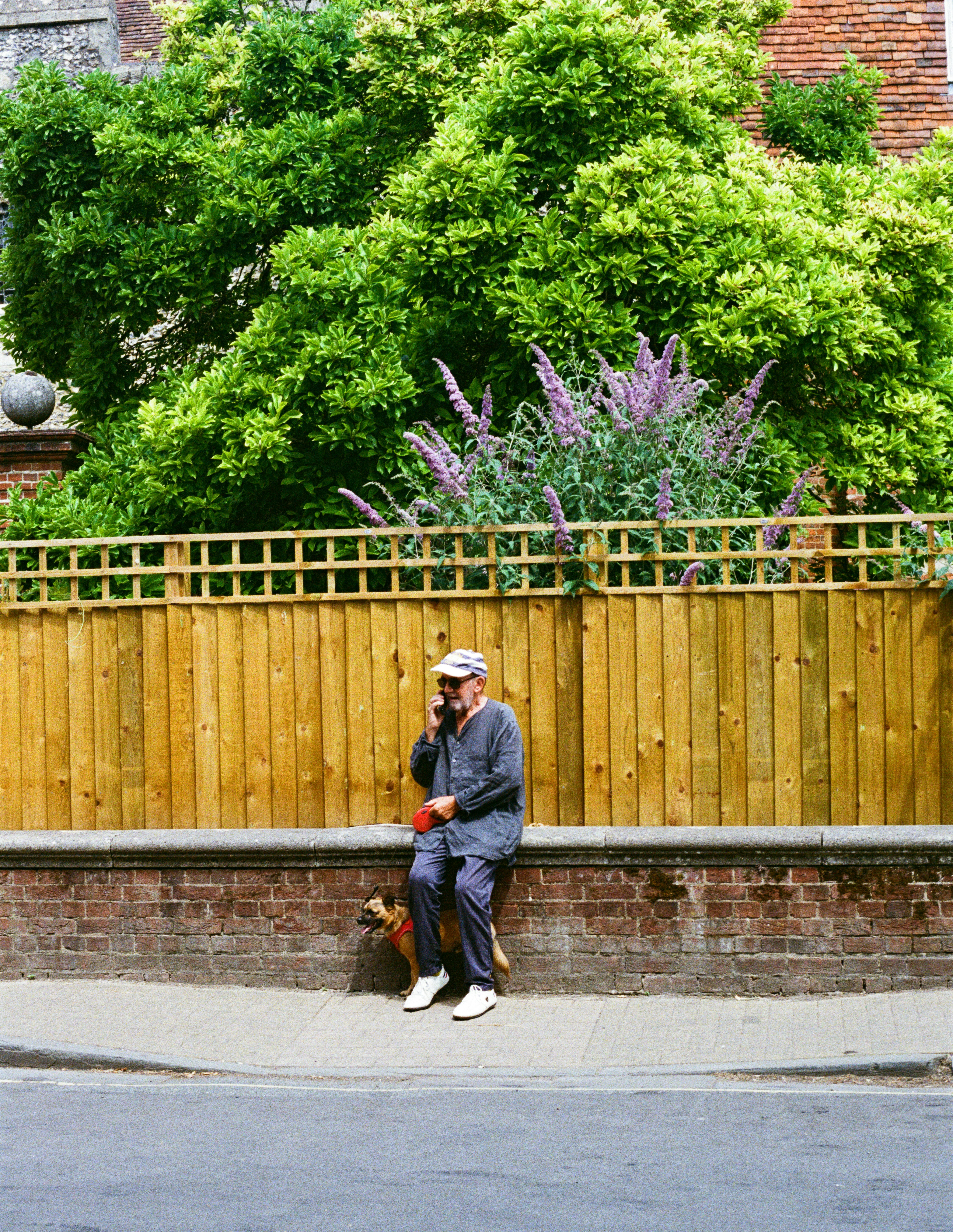 Man on phone with dog by wooden fence